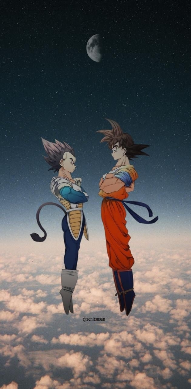 630x1280 Vegeta and goku Wallpaper Download, Phone