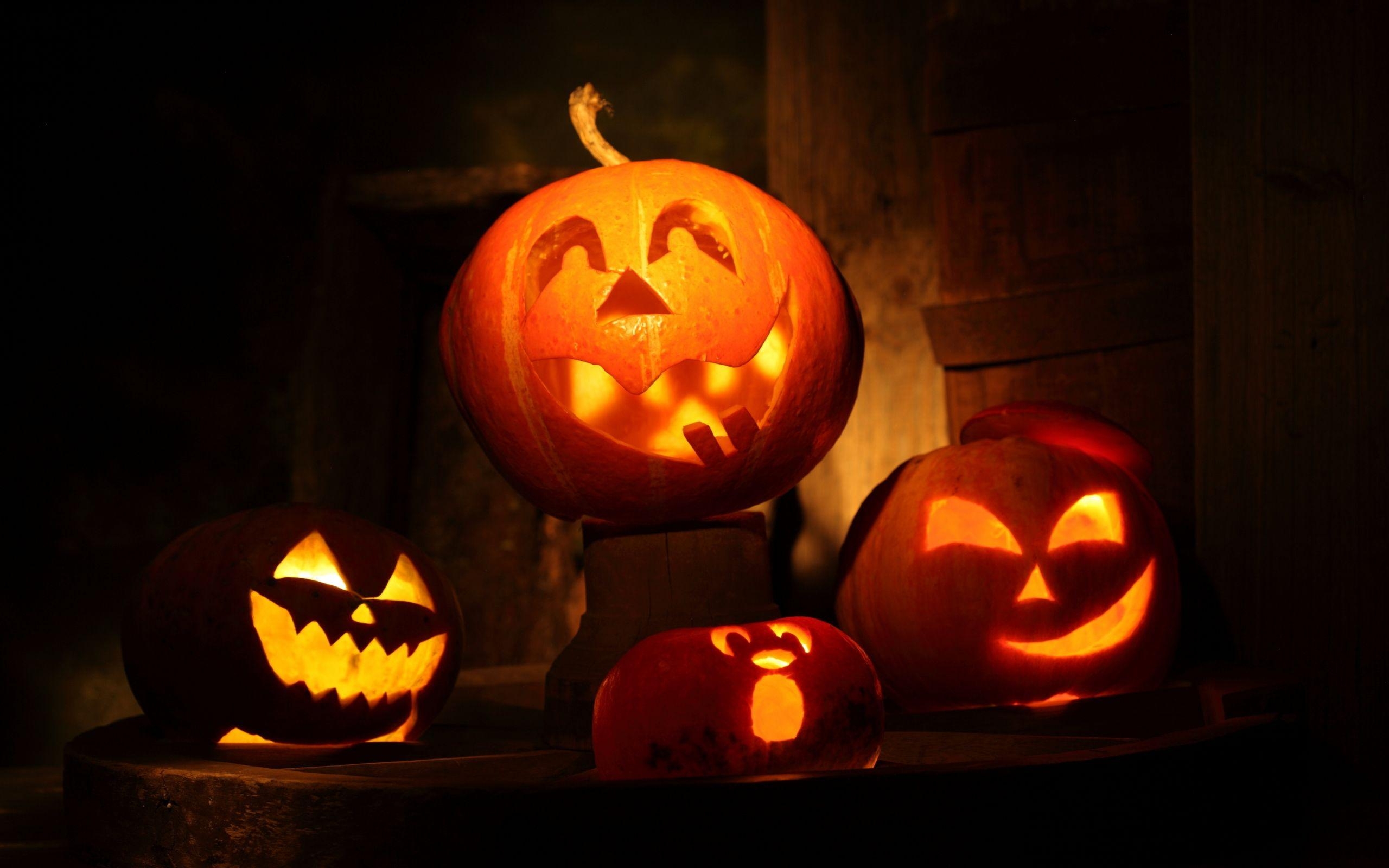 2560x1600 Pumpkin Background, Desktop