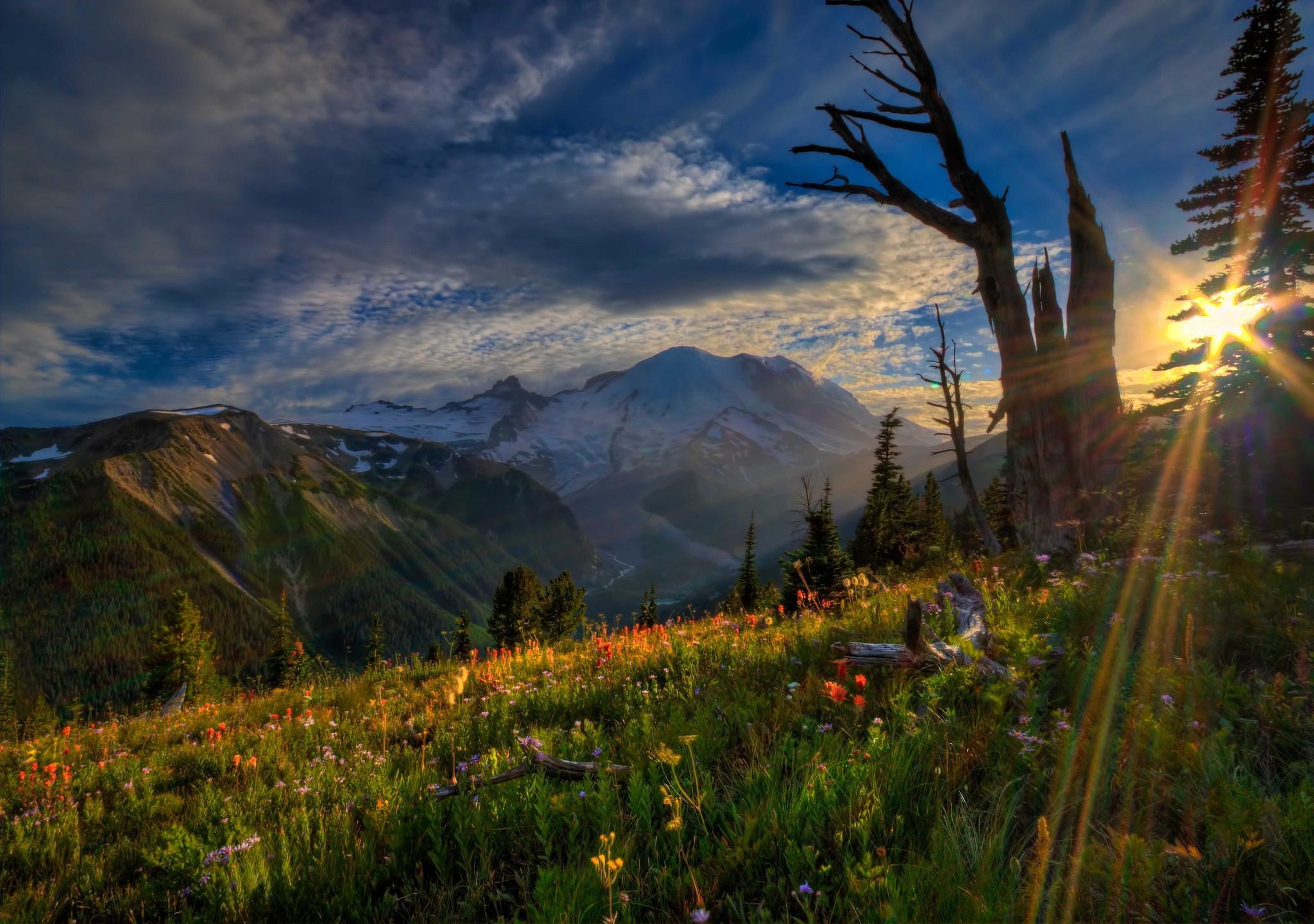 2050x1450 Mount Rainier National Park (id: 119770), Desktop