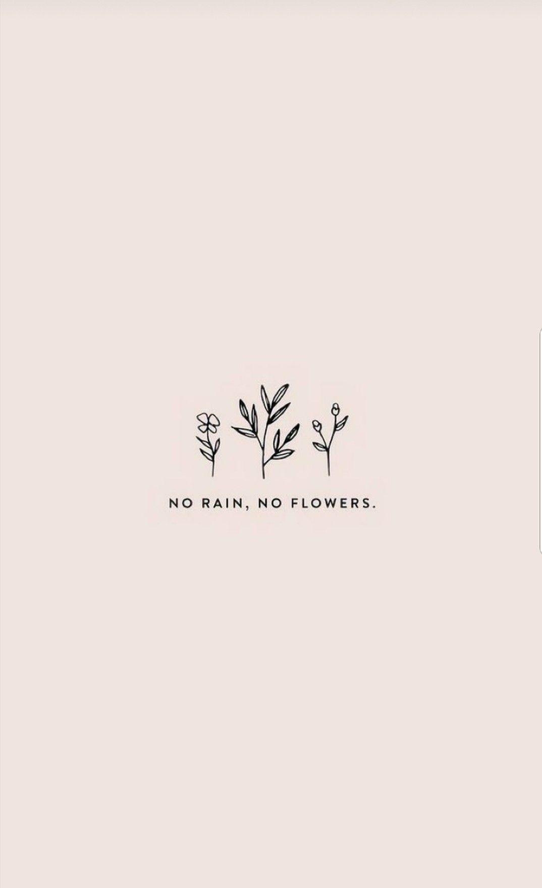 1080x1760 No rain no flowers. No rain no flowers, Flower captions for instagram, Quote aesthetic, Phone