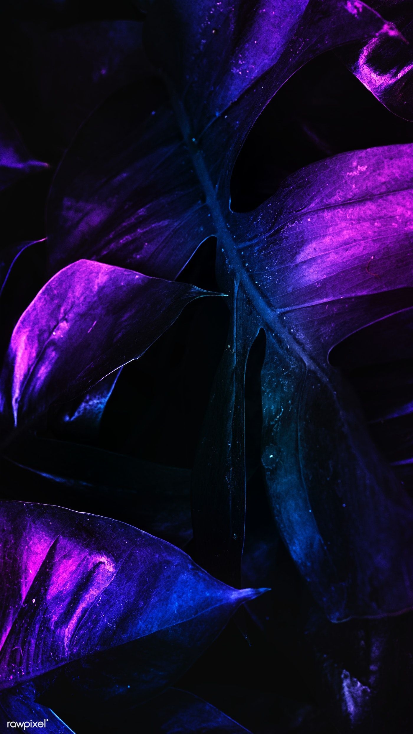 1400x2490 Download premium image of Neon tropical jungle foliage banner 1220014. Black and purple wallpaper, Neon wallpaper, Purple wallpaper iphone, Phone