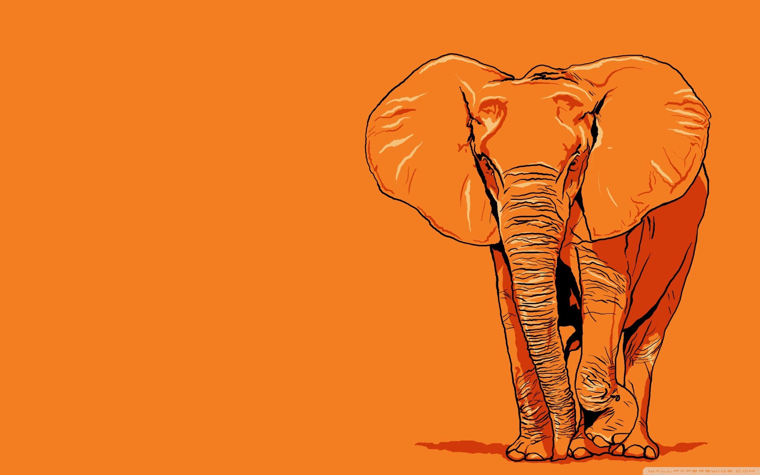 2560x1600 Elephant Vector Art ❤ 4K HD Desktop Wallpaper for 4K Ultra HD TV, Desktop