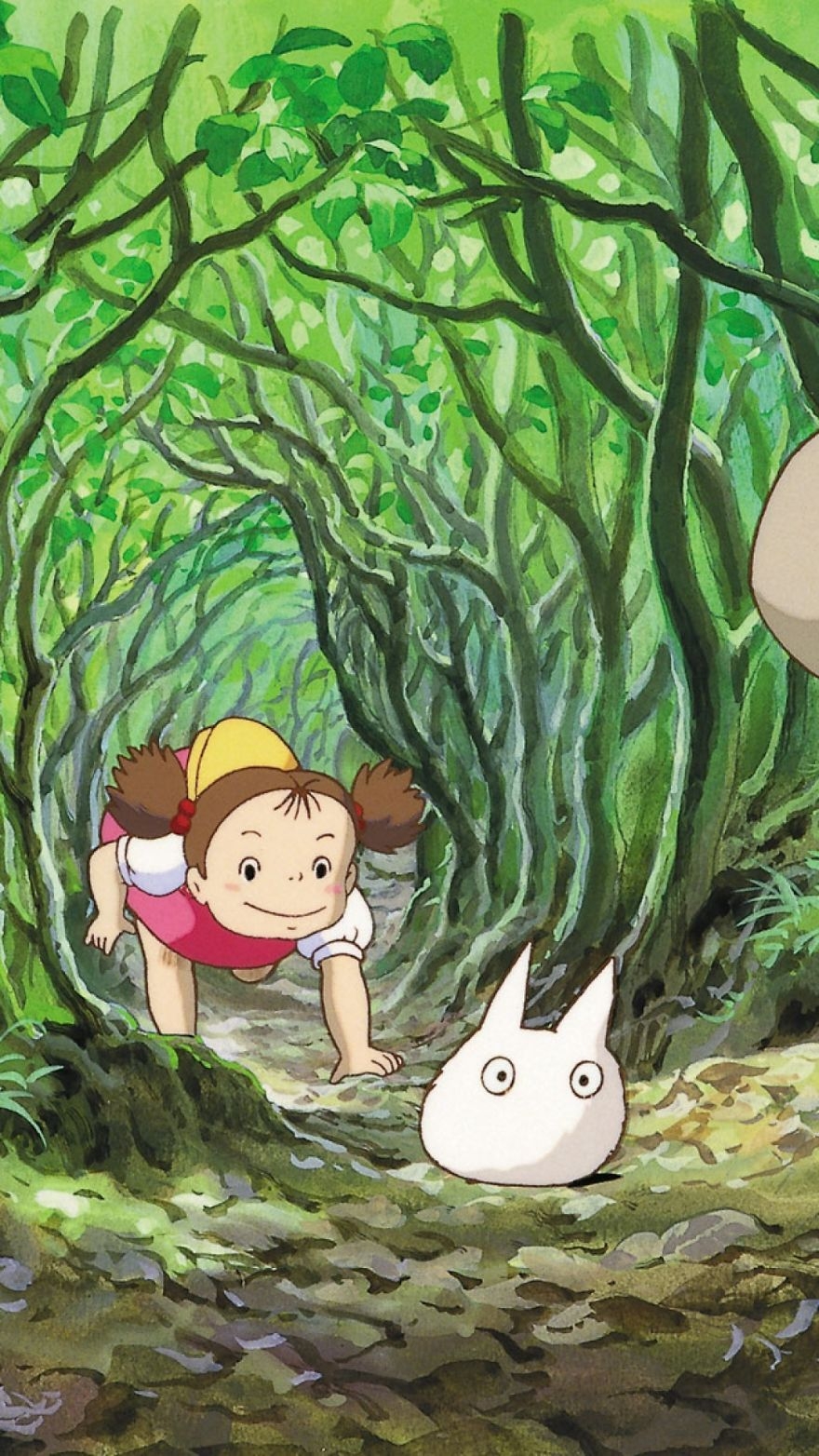 880x1570 Studio Ghibli Themed Wallpaper For Smartphones, Phone