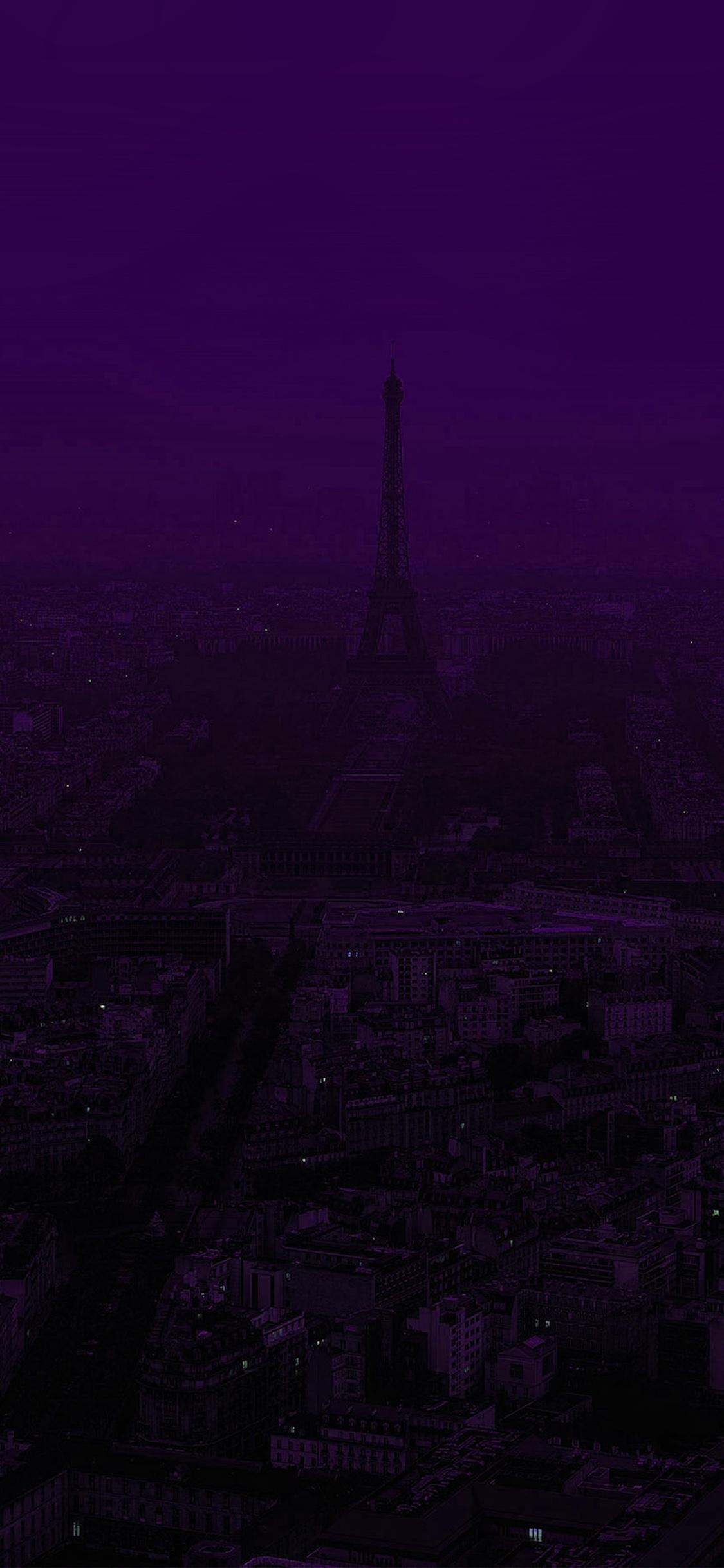 1130x2440 Paris Dark Purple City Illustration Art, Phone