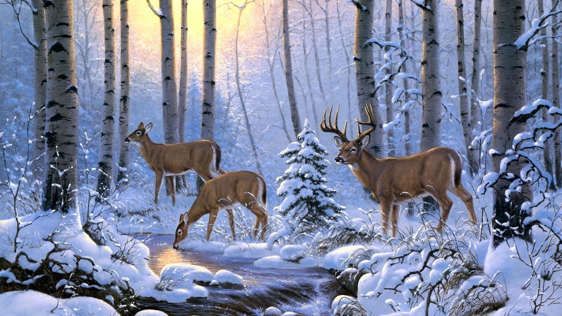 1920x1080 Deer Wallpaper. Wallpaper Studio 10. Tens of thousands HD, Desktop