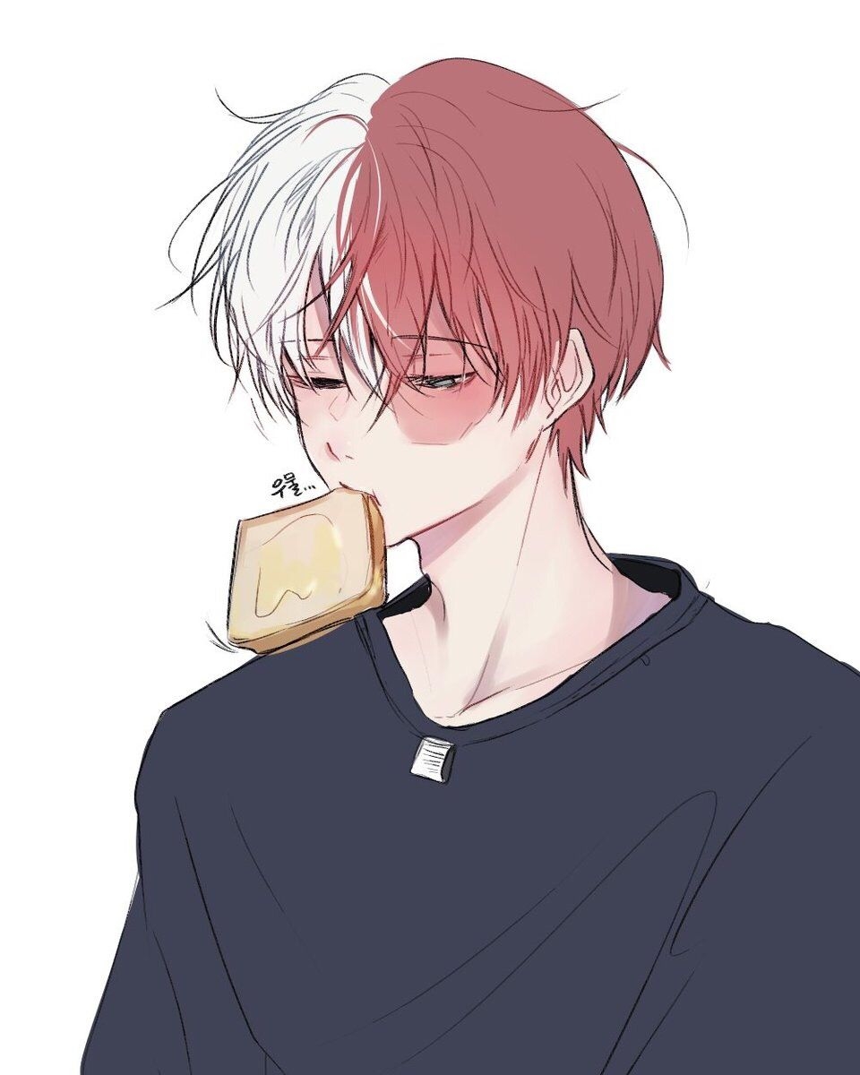 960x1200 Todoroki Shouto. Hero, My hero academia shouto, My hero academia manga, Phone