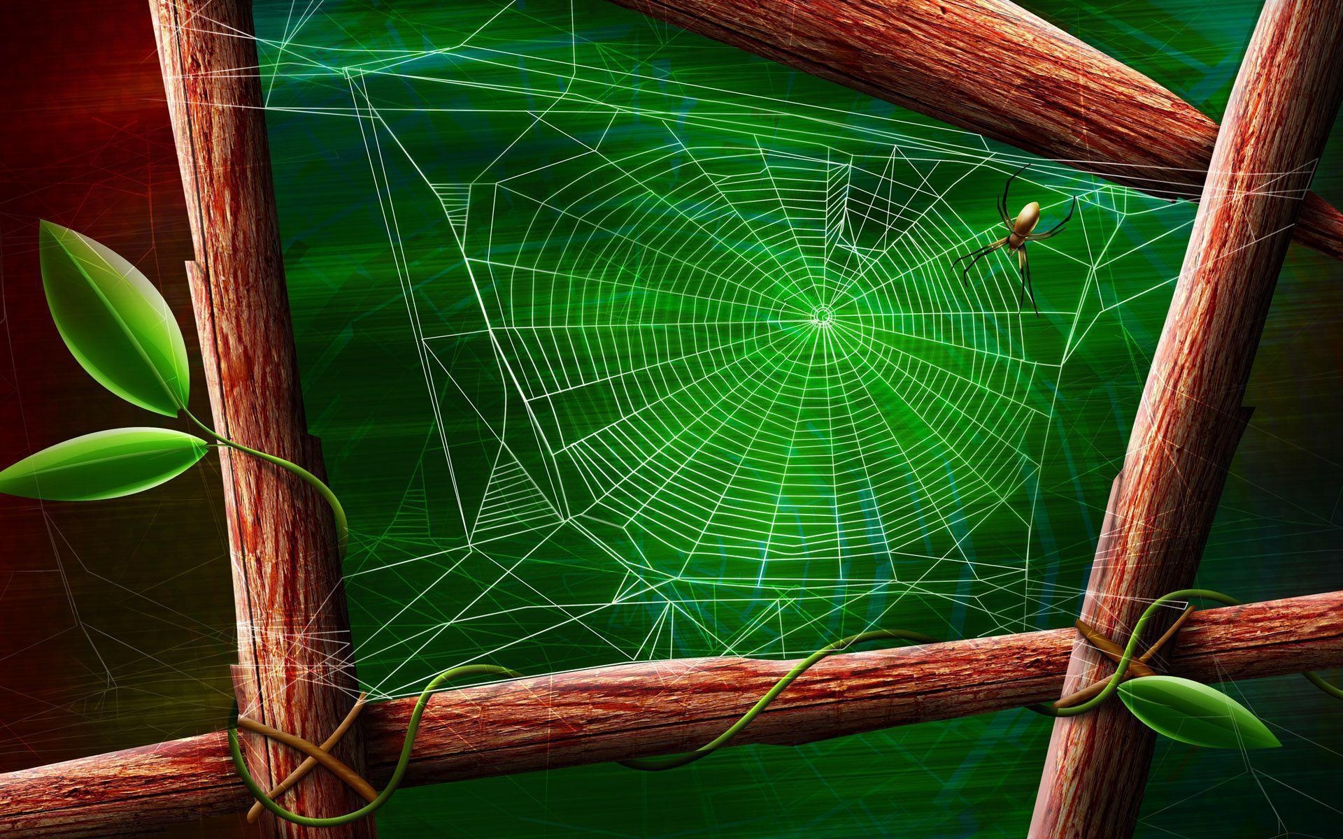 1920x1200 Spider Web wallpaper, Desktop