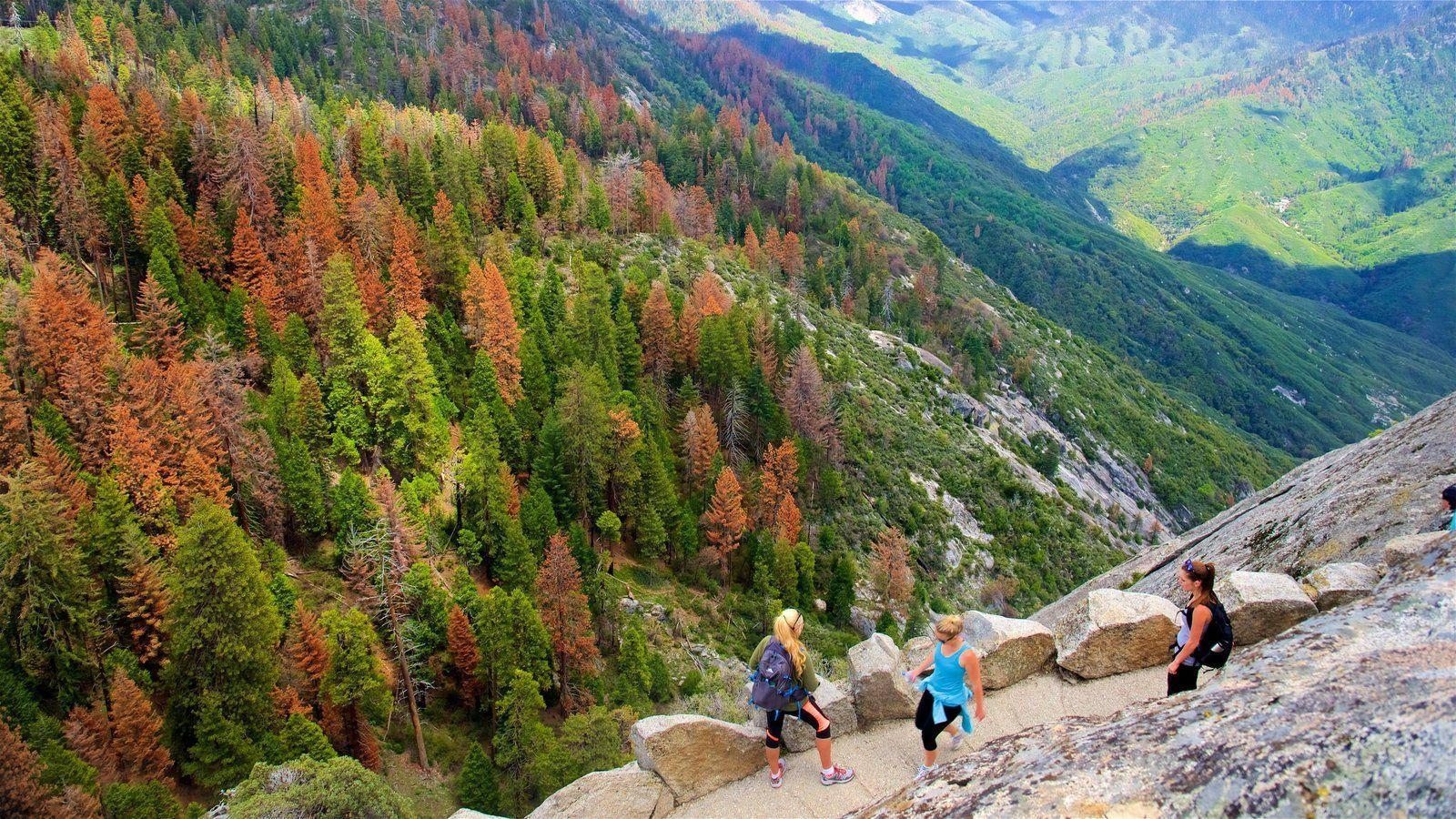 1600x900 Fall Picture: View Image of Sequoia and Kings Canyon National Parks, Desktop