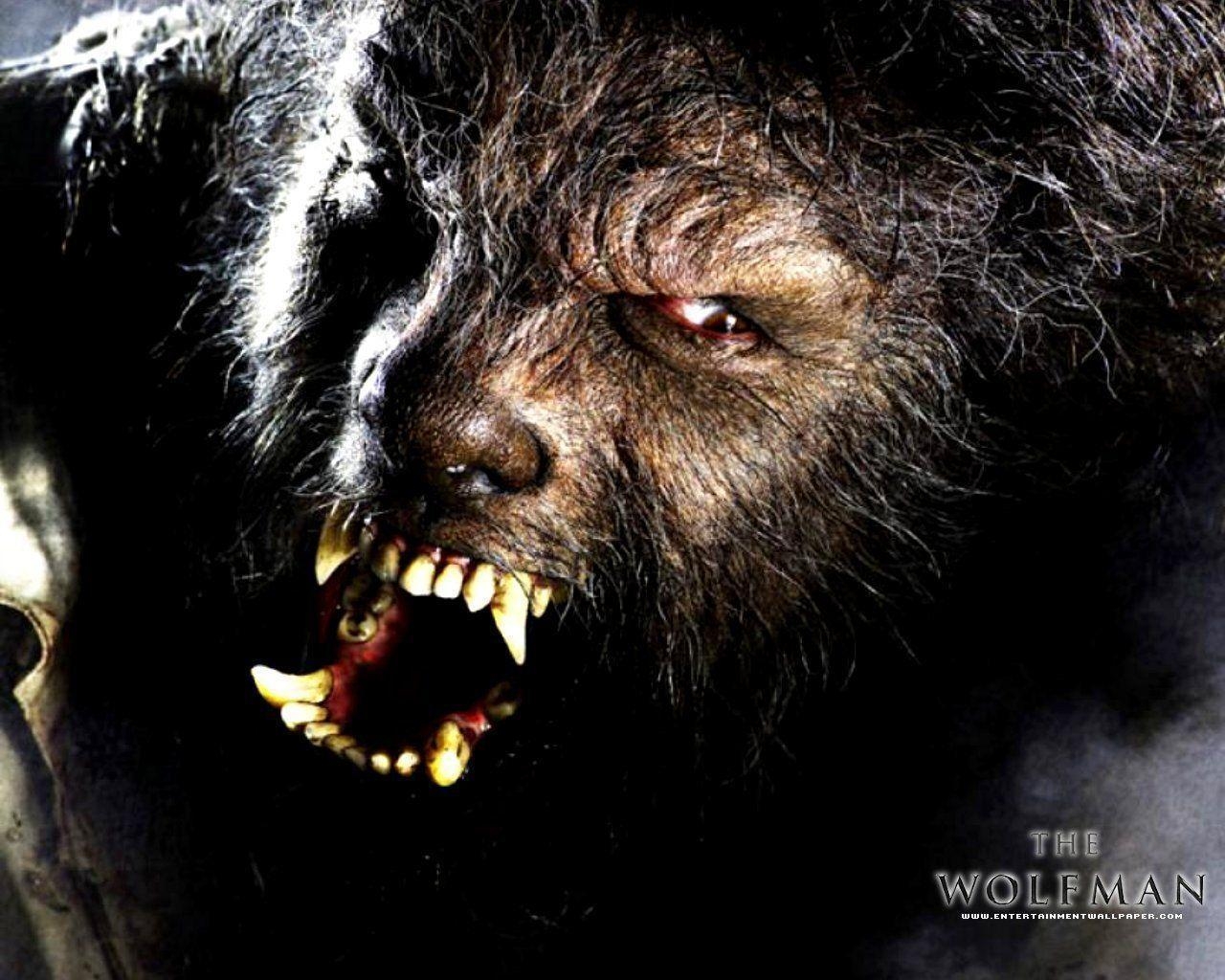 1280x1030 The Wolfman Wolfman Wallpaper, Desktop