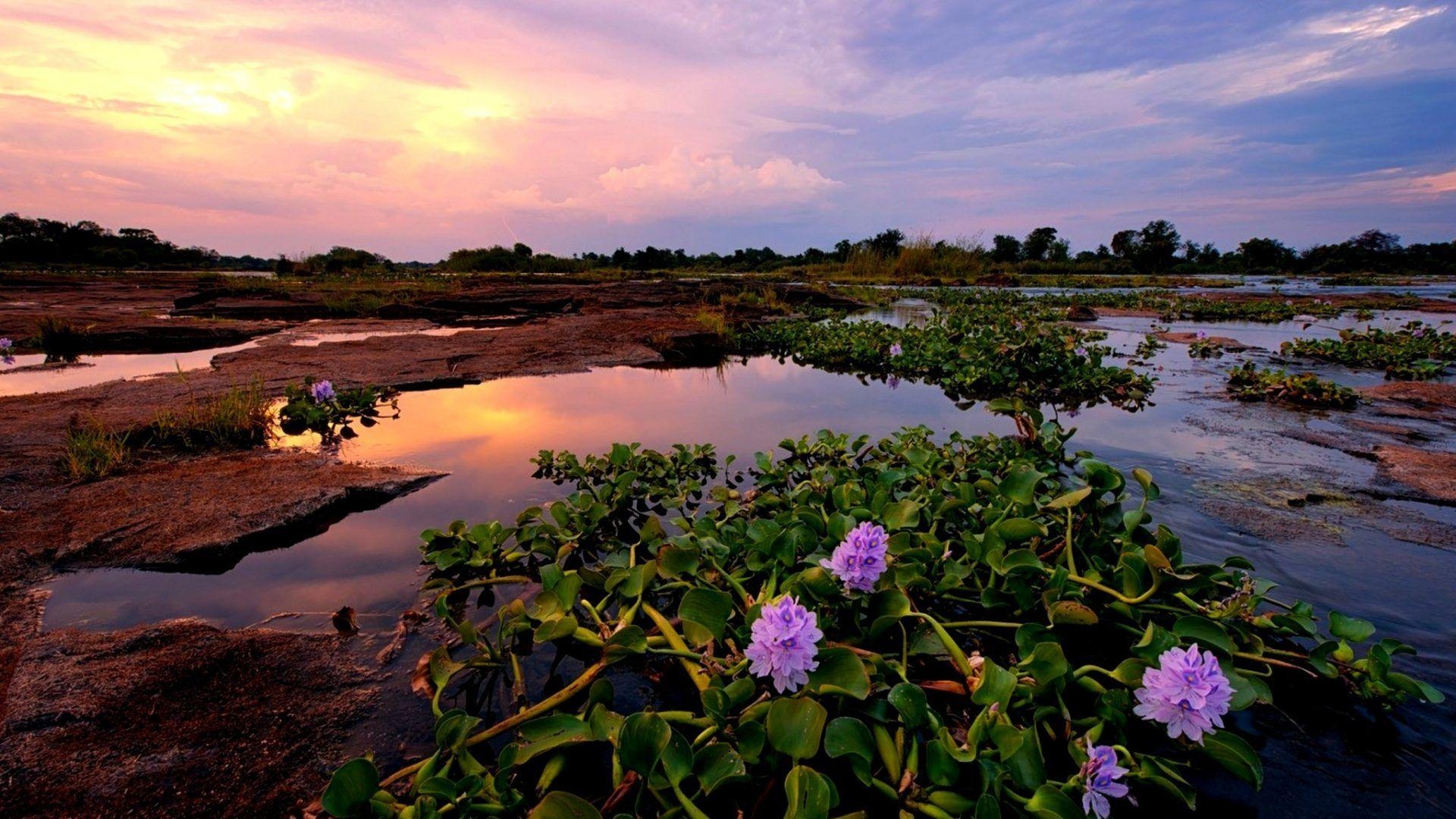 1920x1080 Zimbabwe Tag wallpaper: Zambezi Africa Paul Photography Bruins, Desktop