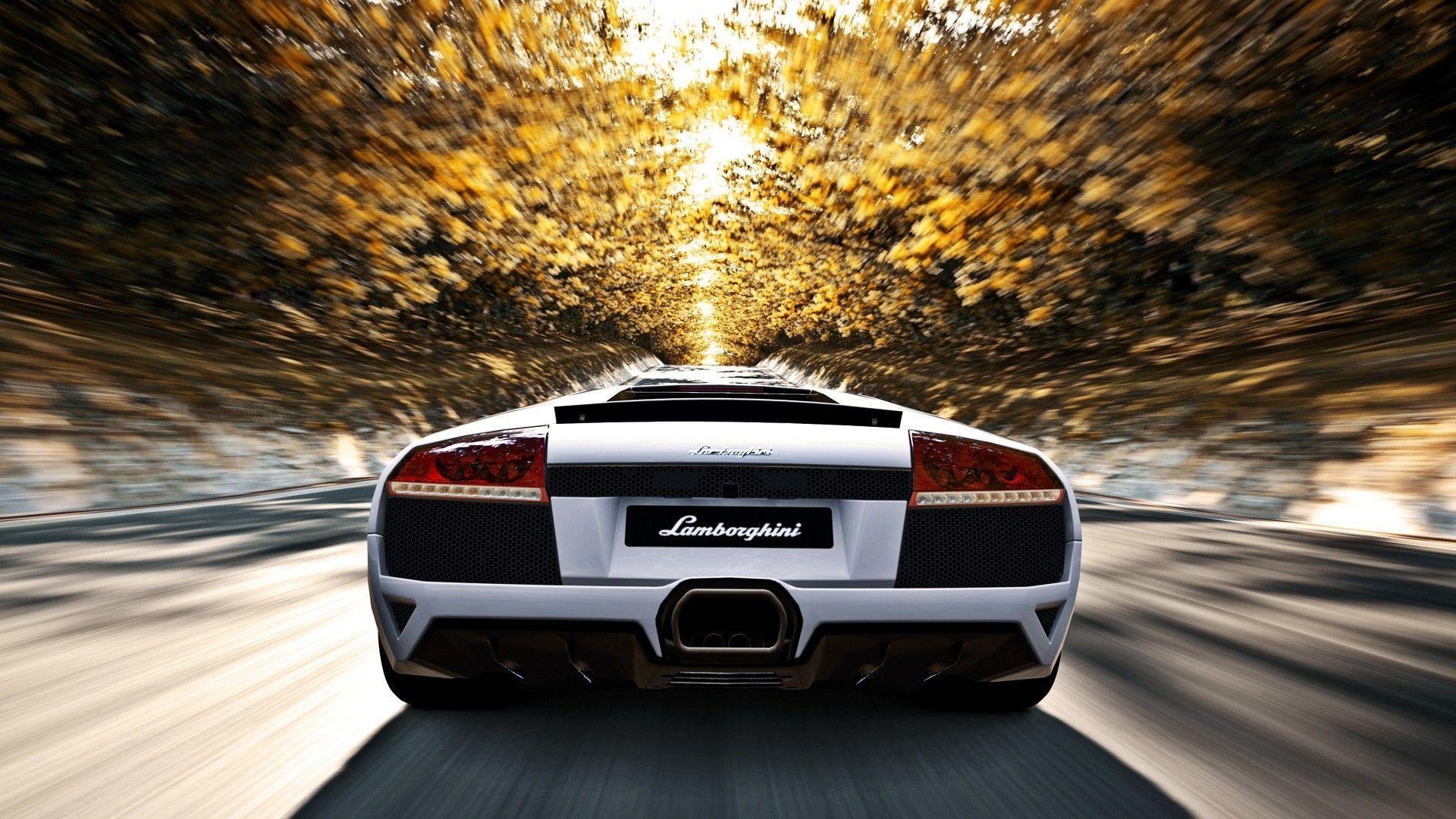 1920x1080 Lamborghini Murcielago Rear Picture 20376  px, Desktop