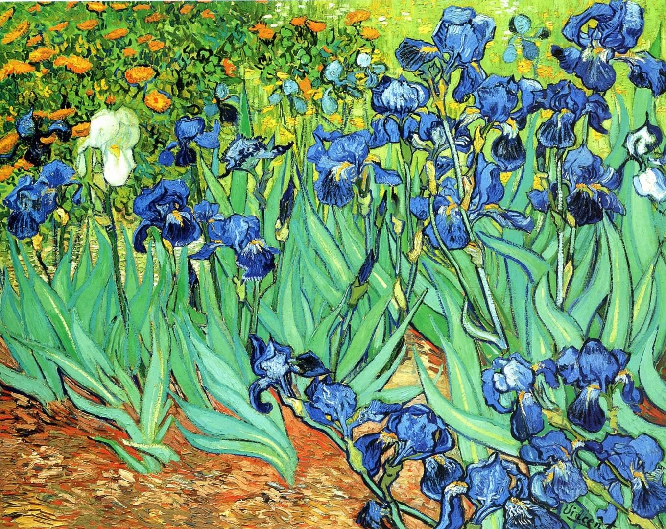 1360x1080 Irises Van Gogh Paintings Wallpaper Image, Desktop