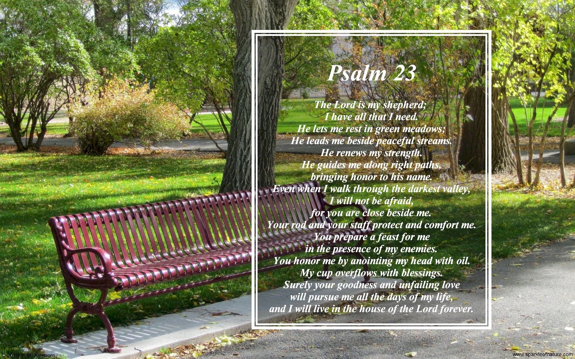 1920x1200 Psalms 23 Wallpaper, Desktop