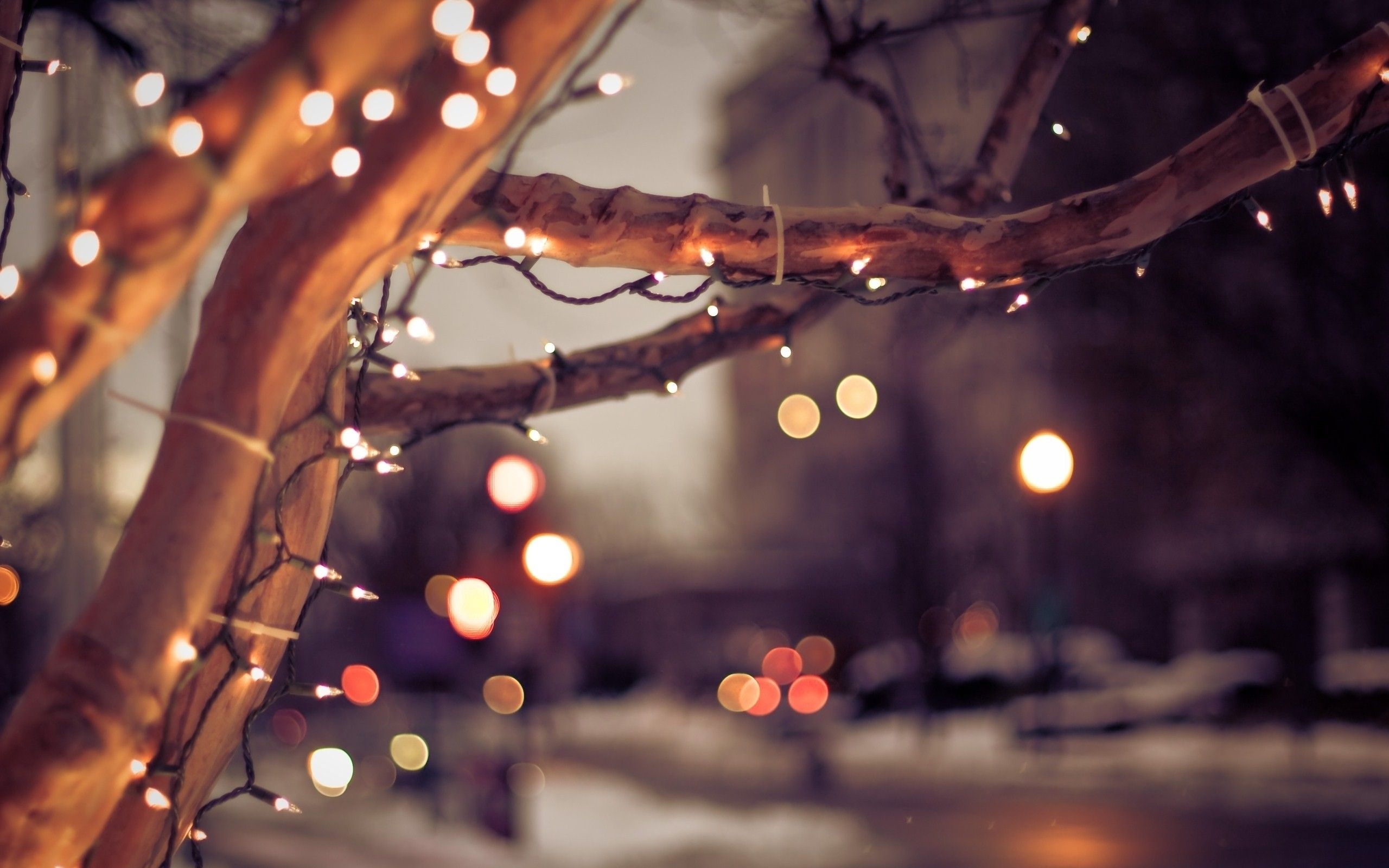 2560x1600 Laptop Desktop Wallpaper Christmas Aesthetic Background, Desktop