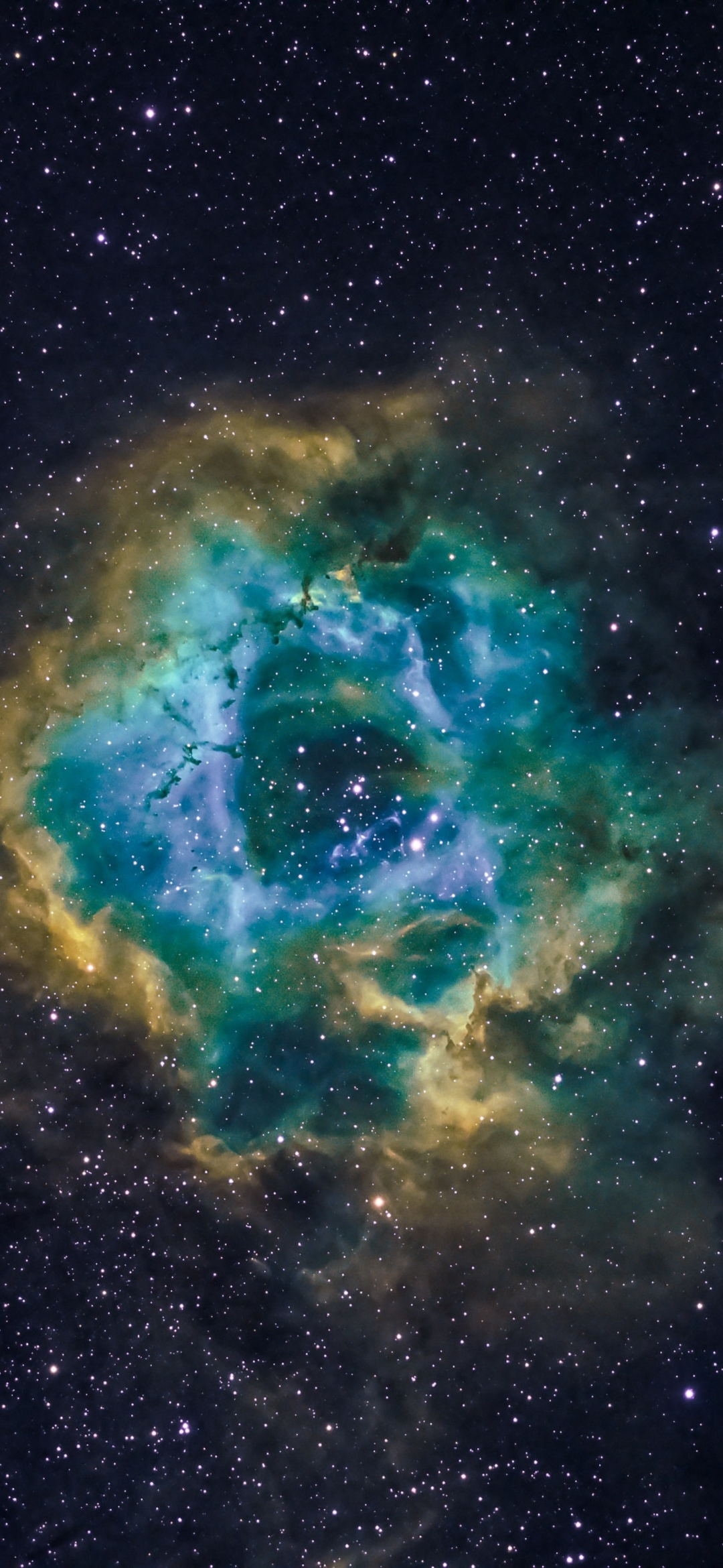 1080x2340 Rosette Nebula Wallpaper 4K, Astronomy, Milky Way, Blue Galaxy, Phone