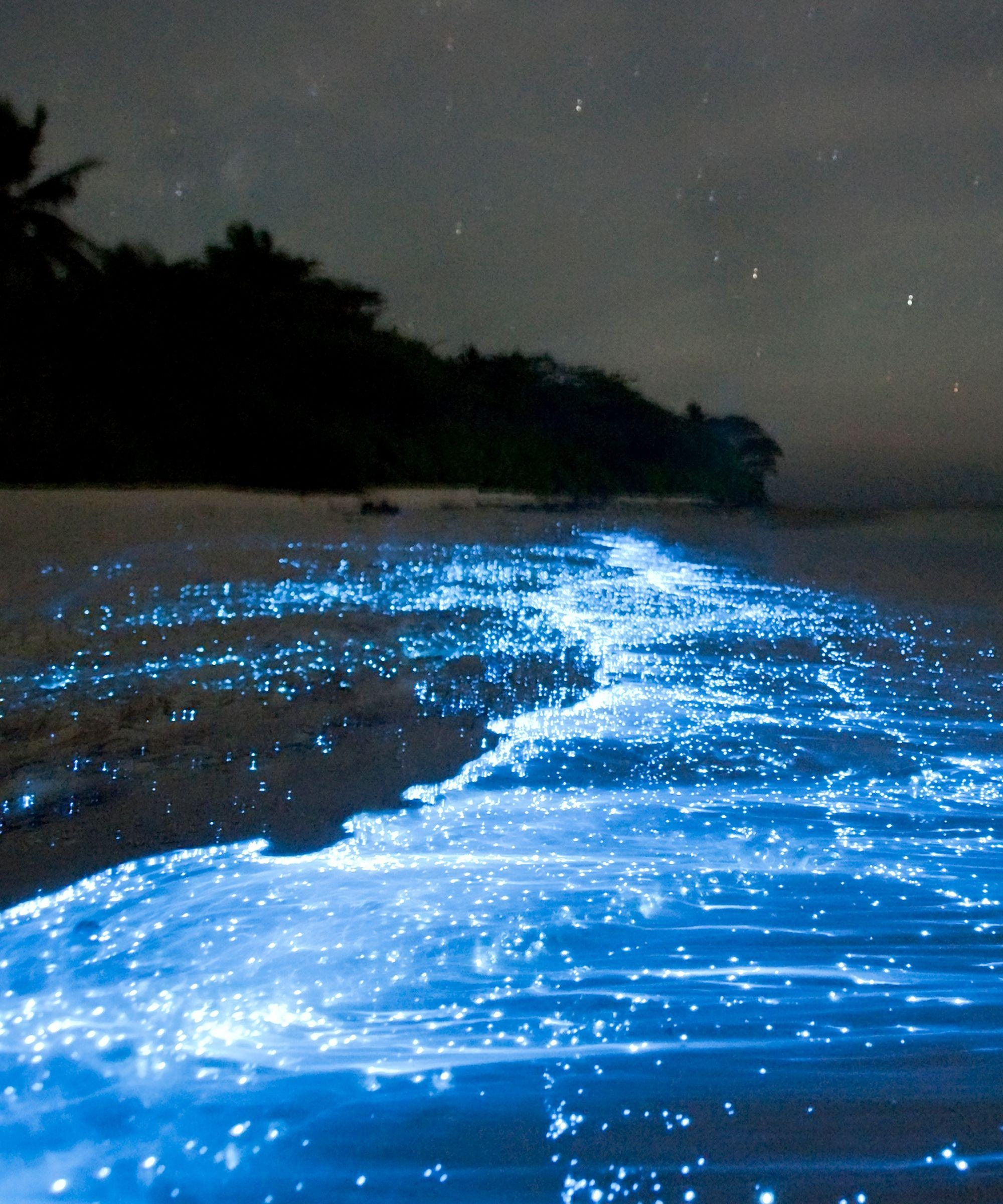 2000x2400 Sea of Stars, Phone