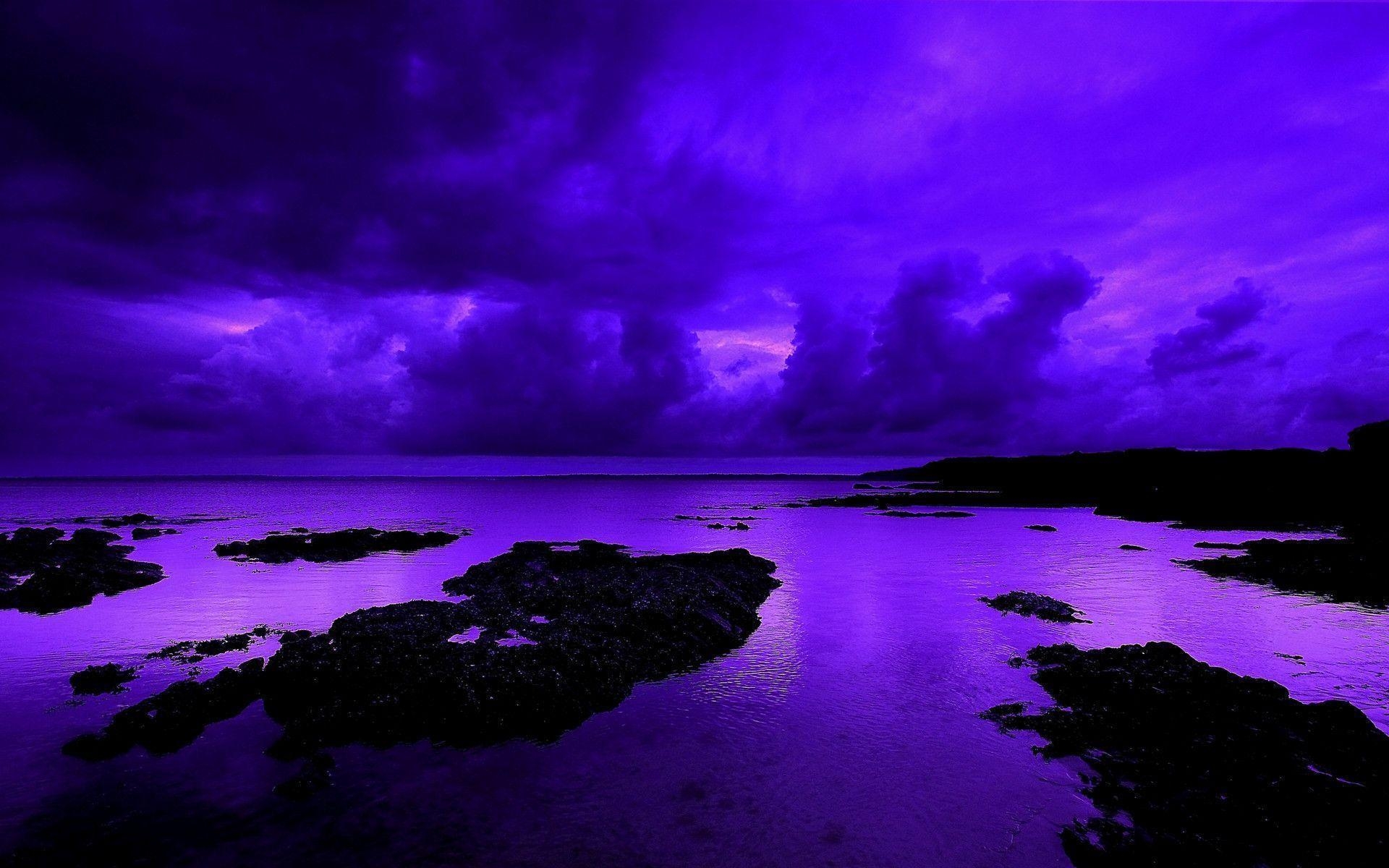 1920x1200 Wallpaper For > Violet Nature Wallpaper, Desktop