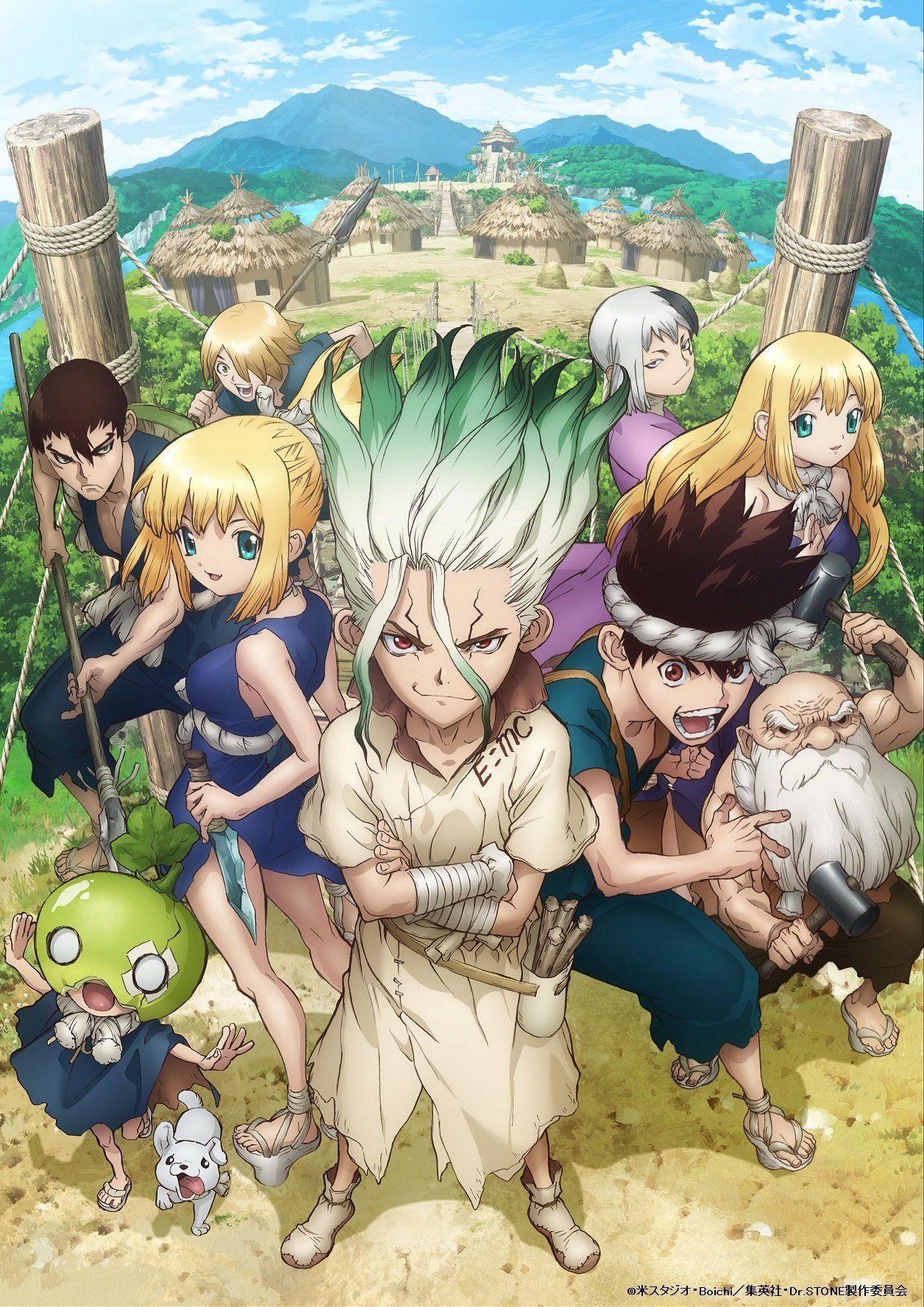 1260x1780 Dr. Stone Wallpaper Free Dr. Stone Background, Phone