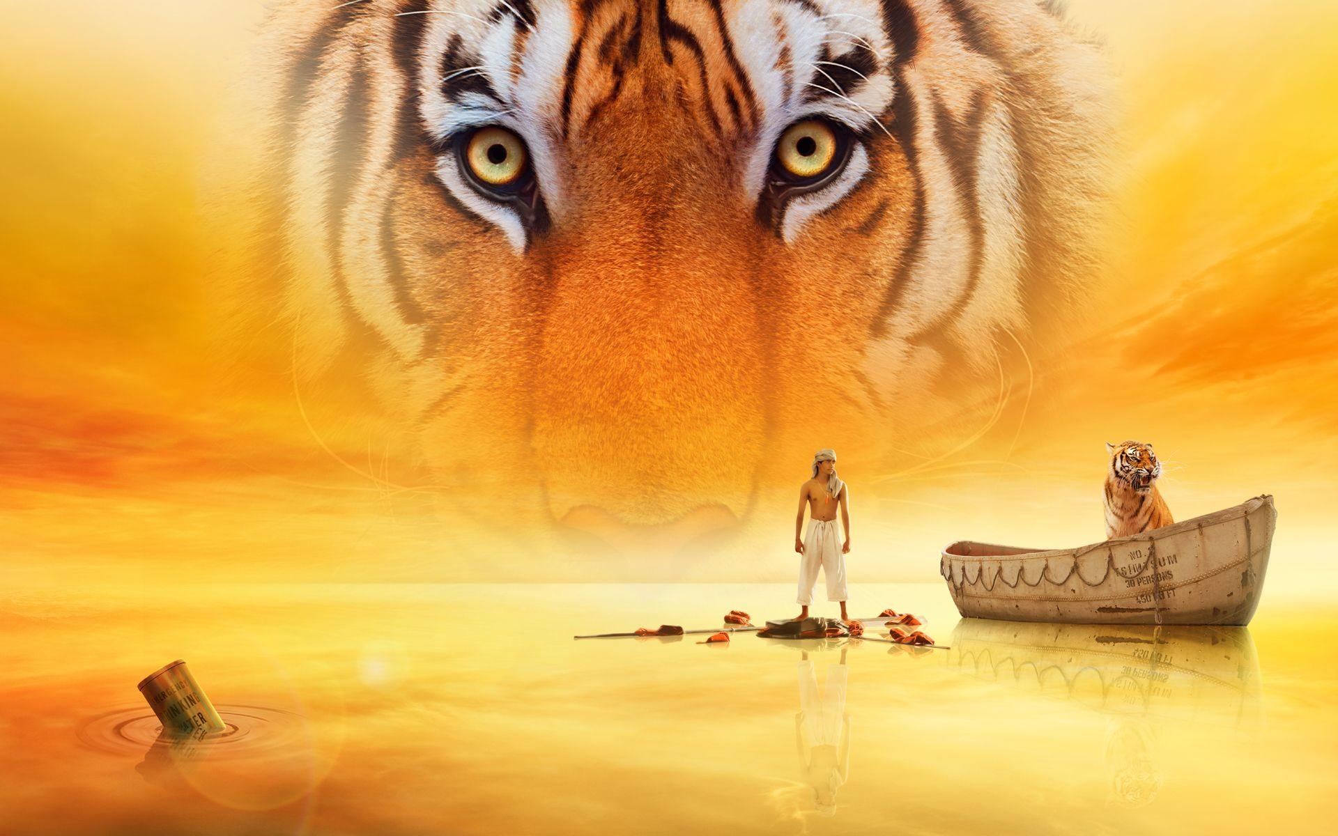 1920x1200 Life of Pi Movie Wallpaper, Desktop