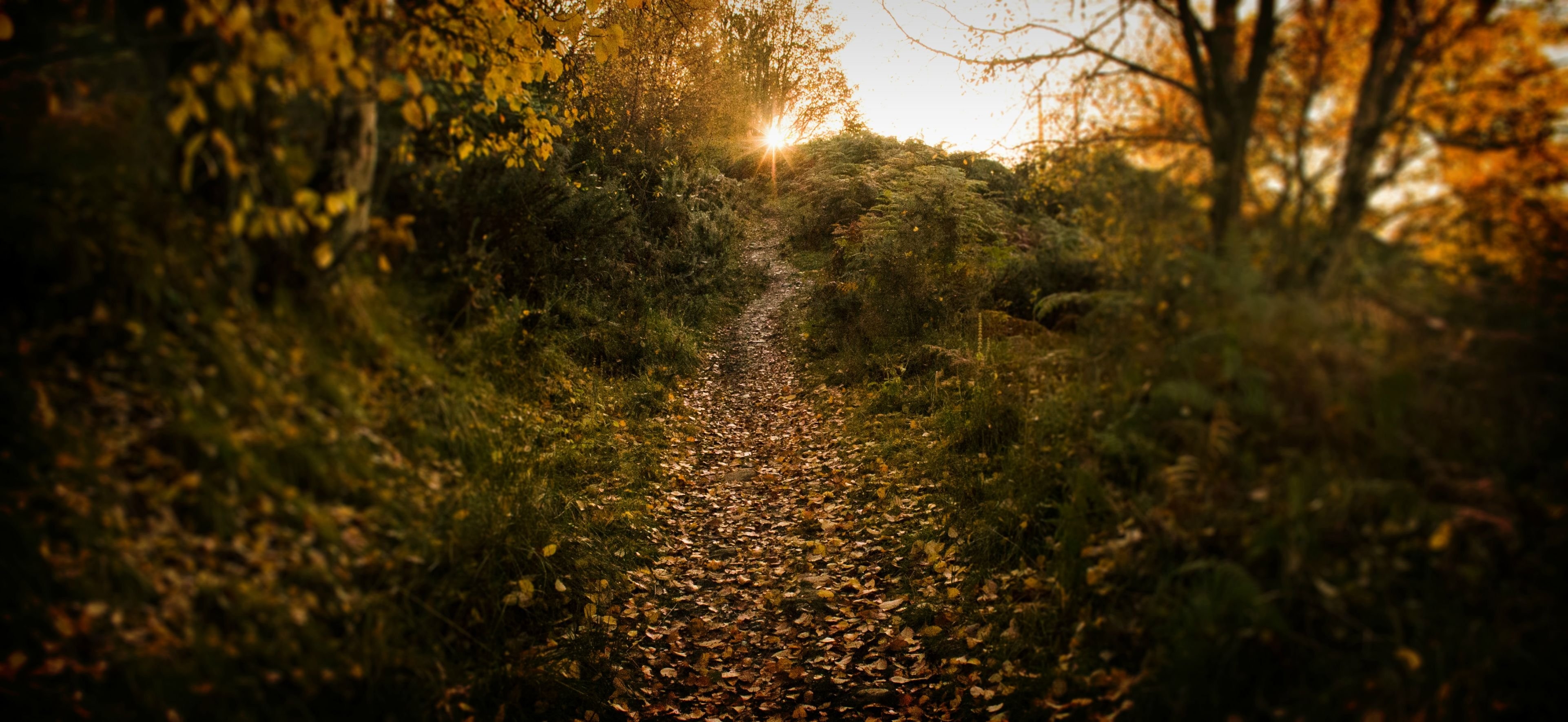 3850x1780 Scotland in Autumn 4K wallpaper, Dual Screen