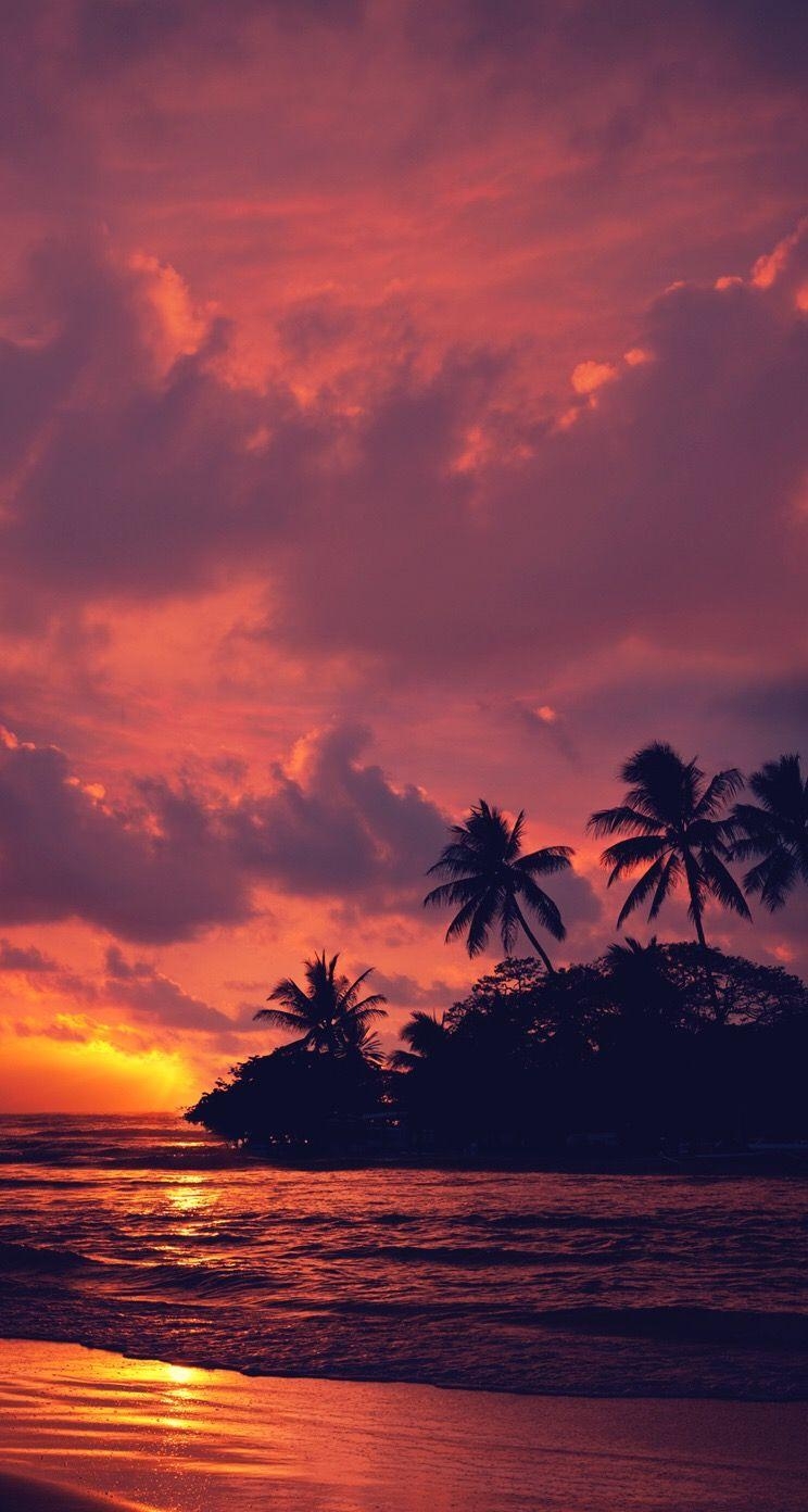 750x1400 Aloha beach sunset iPhone wallpaper background lockscreen, Phone