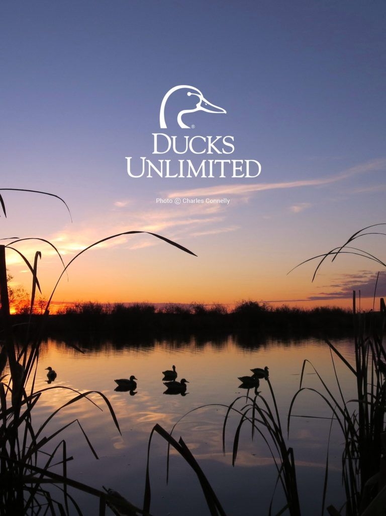 770x1030 ducks unlimited mobile wallpaper. iPhone wallpaper full HD, Phone