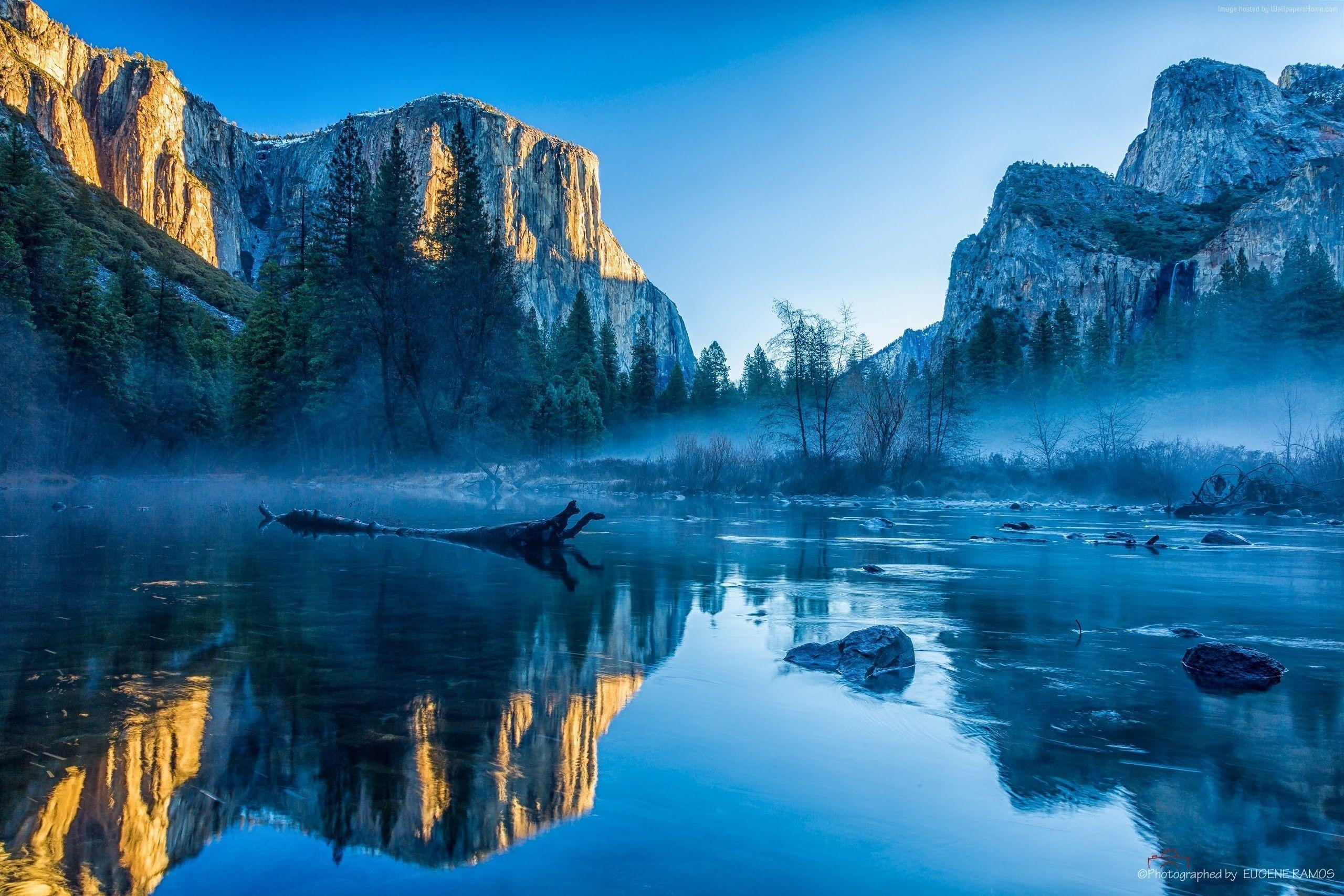 2560x1710 Wallpaper El Capitan, 5k, 4k wallpaper, 8k, yosemite, forest, OSX, Desktop