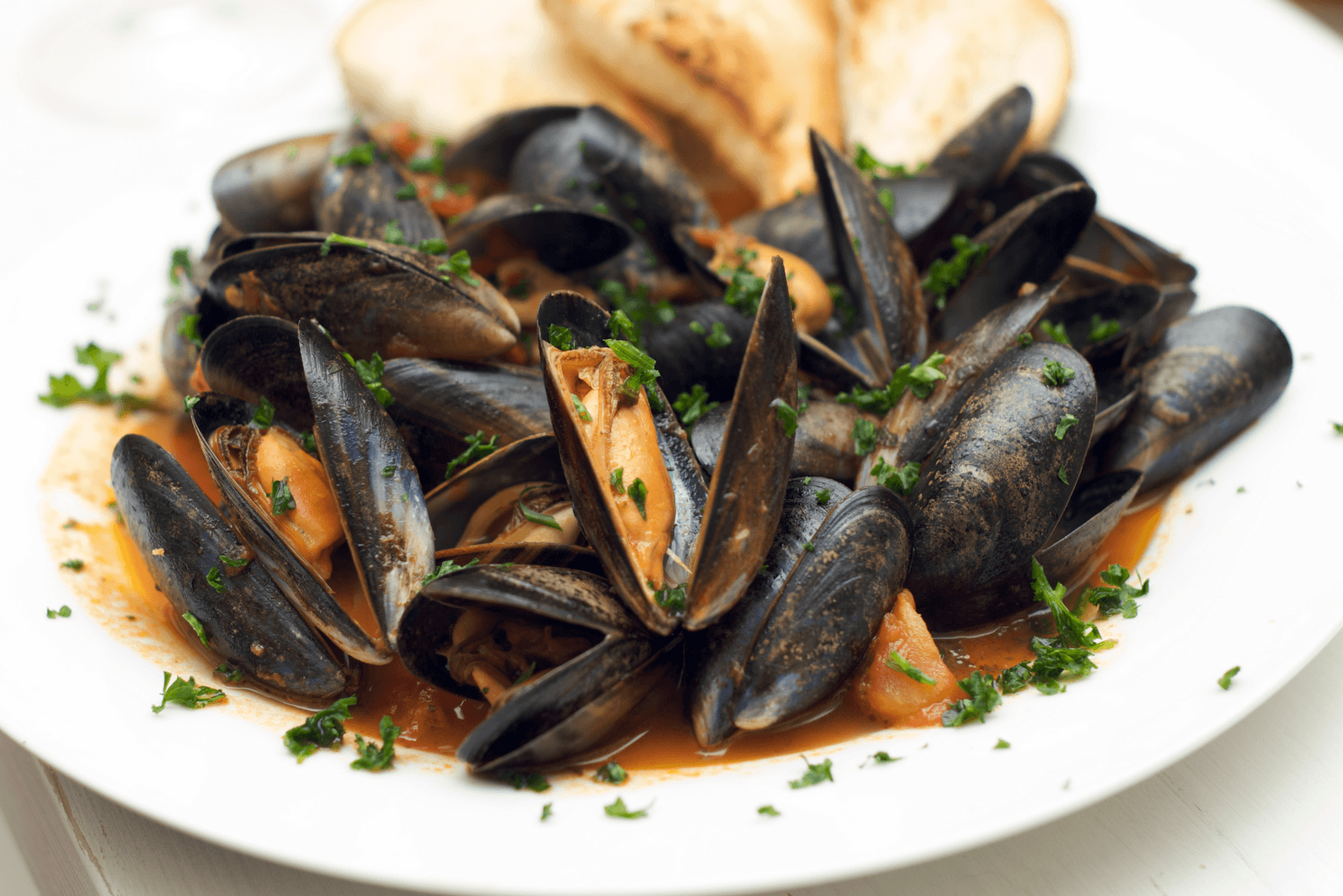 1600x1070 Mussels wallpaper, Food, HQ Mussels pictureK, Desktop