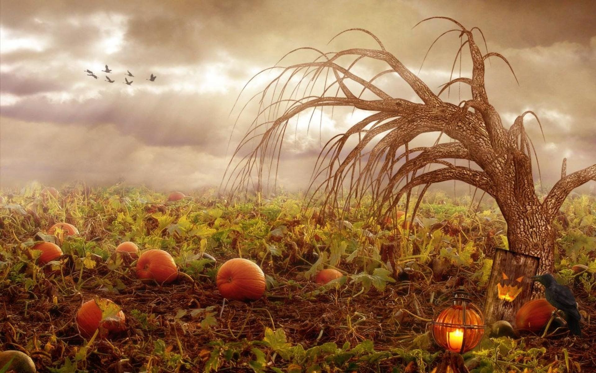 1920x1200 Halloween Fall Wallpaper, Desktop