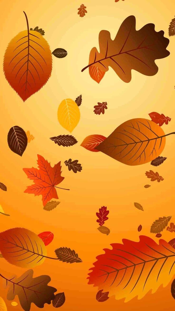 740x1310 Thanksgiving Background Image, Wallpaper HD Picture, Phone