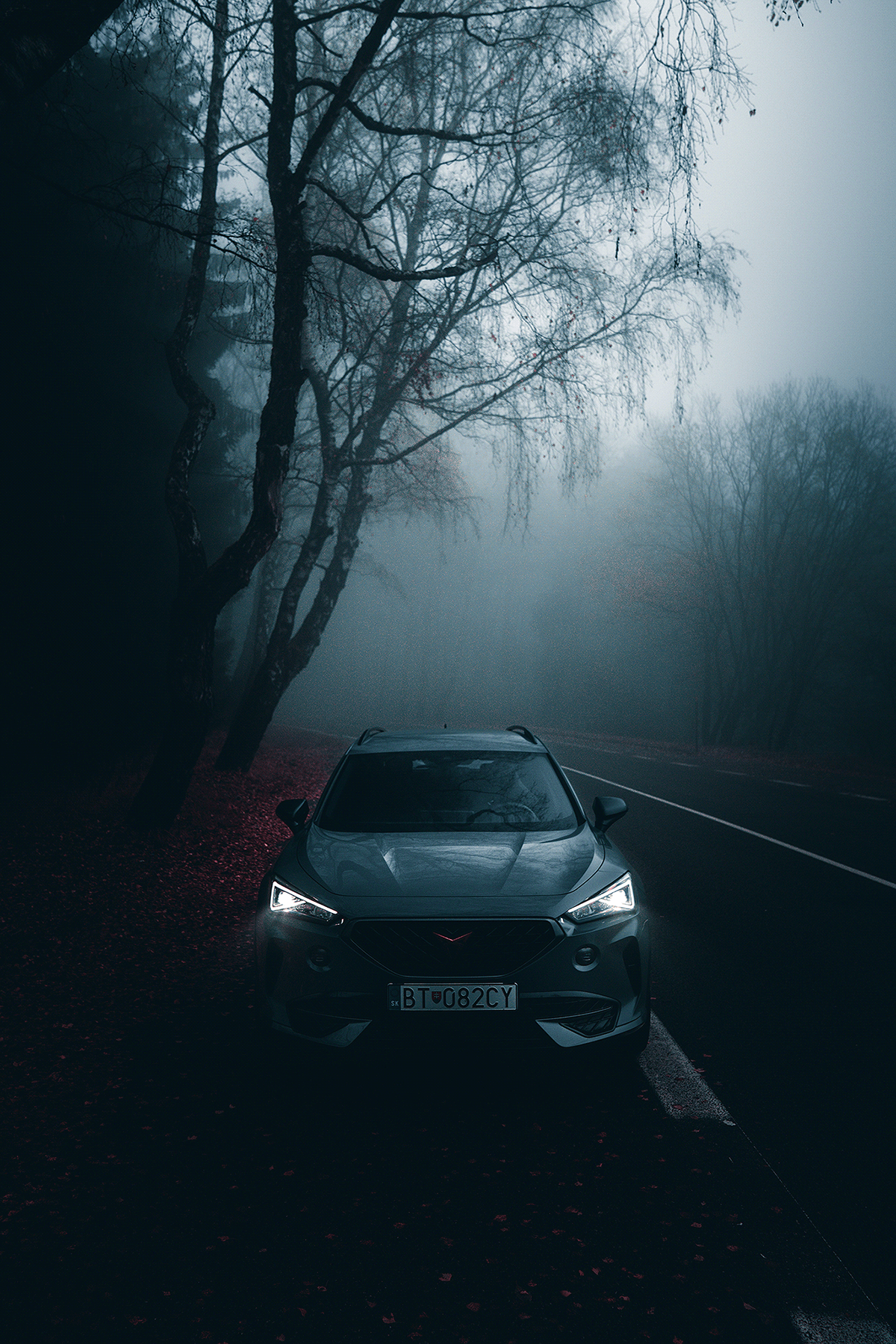 1200x1800 Cupra Formentor, Phone