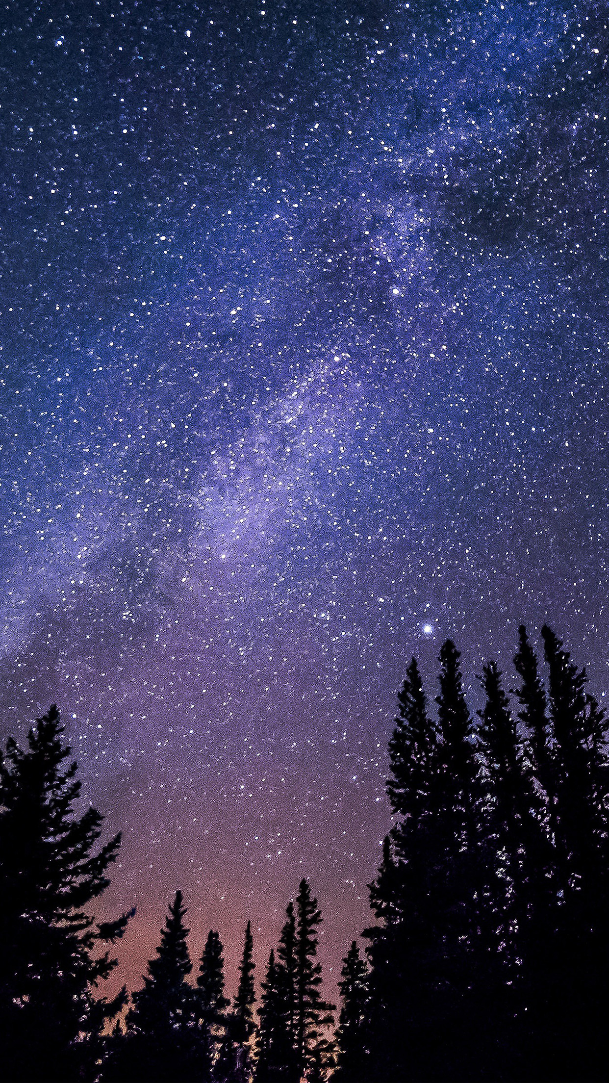 1250x2210 night starry sky aurora winter, Phone