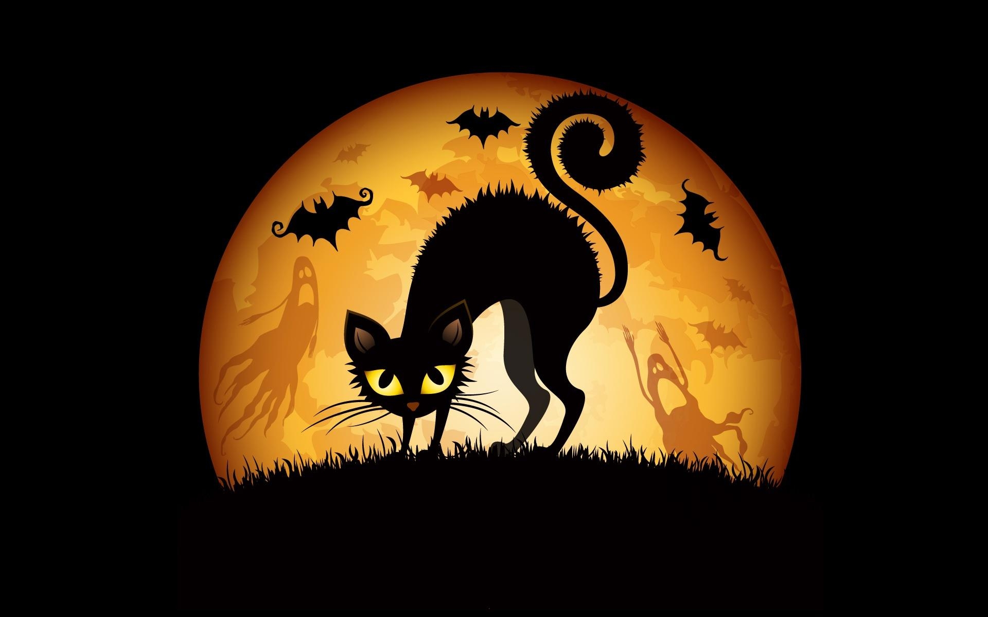 1920x1200 Halloween Cats Bats Wallpaper in jpg format for free download, Desktop