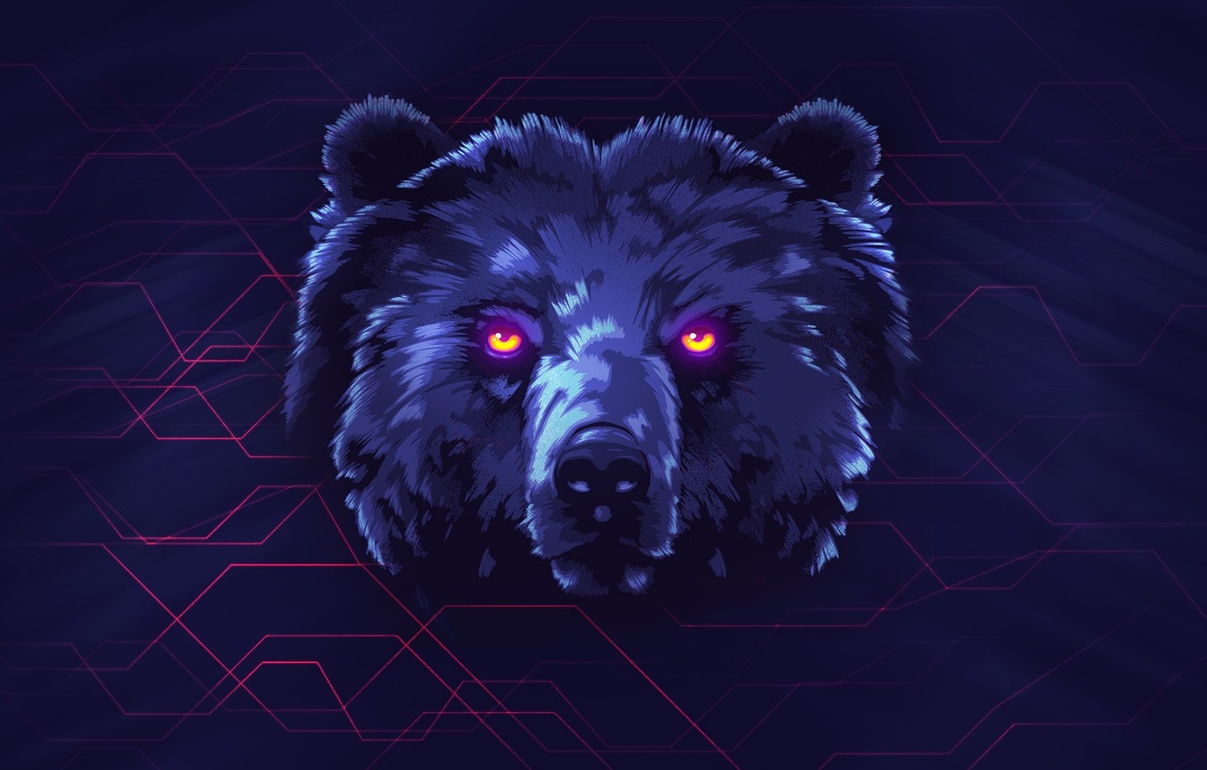 1340x850 Wallpaper Bear, Desktop