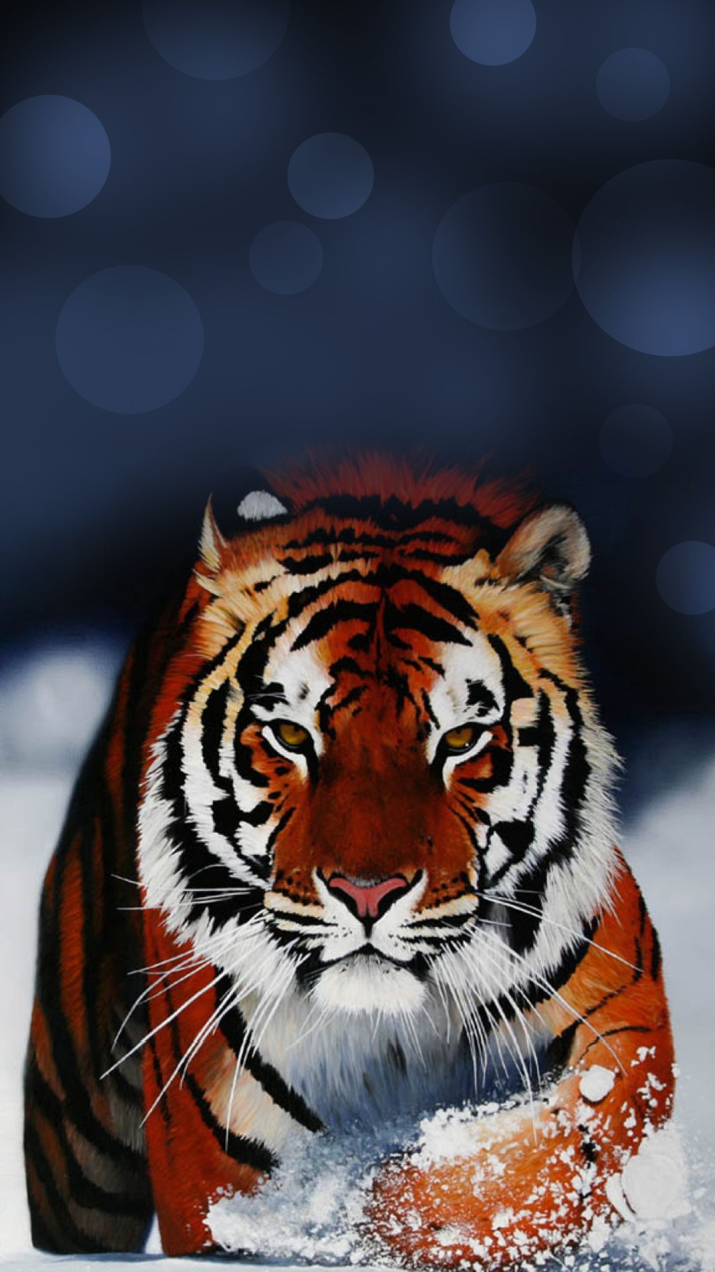 1440x2560 blackberry themes: Tiger Wallpaper Galaxy S7 Edge, Phone