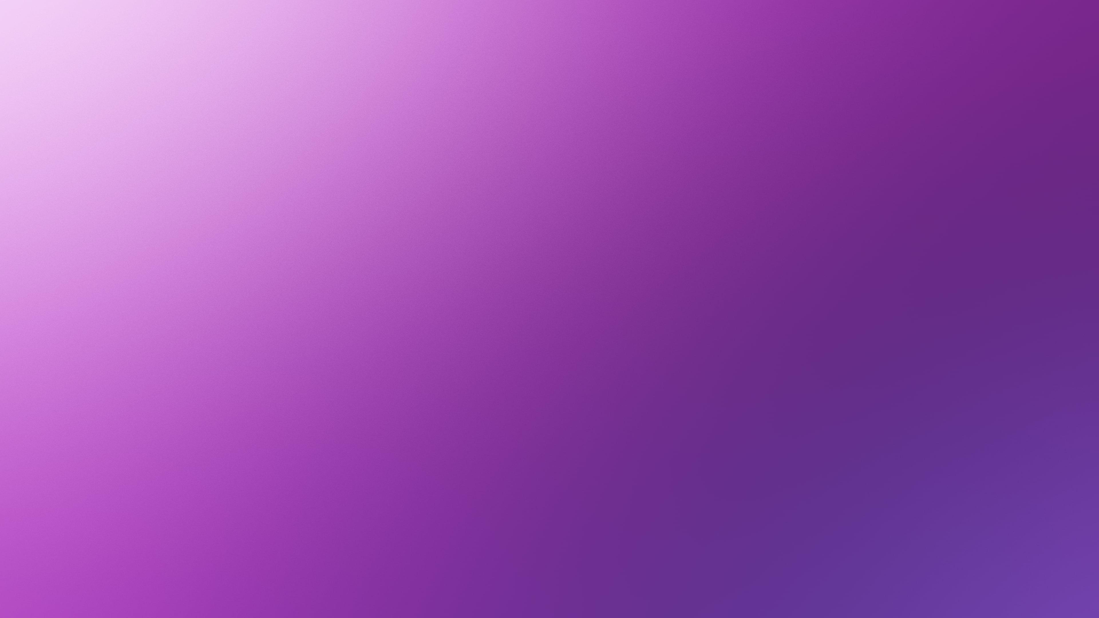 3840x2160 Gradient, Purple, 4K HD wallpaper, Desktop