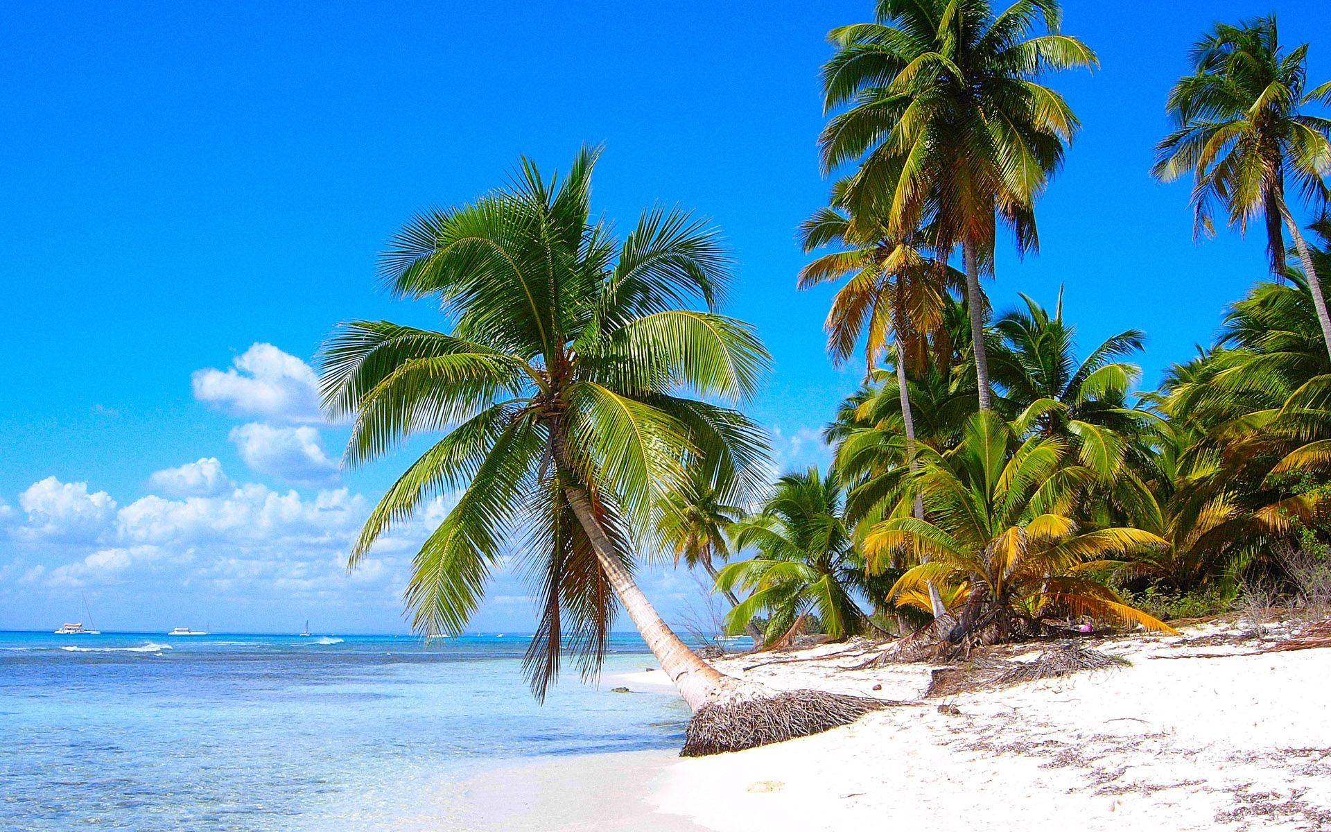 1920x1200 Saona Island Beach, Near La Altagracia Province, Dominican, Desktop