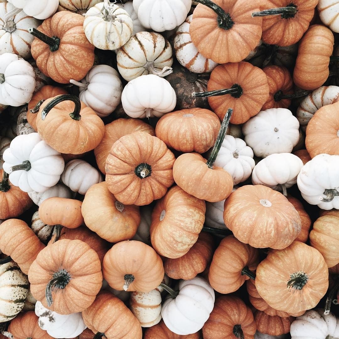 1080x1080 Aesthetic Pumpkin Wallpaper Free Aesthetic Pumpkin Background, Phone