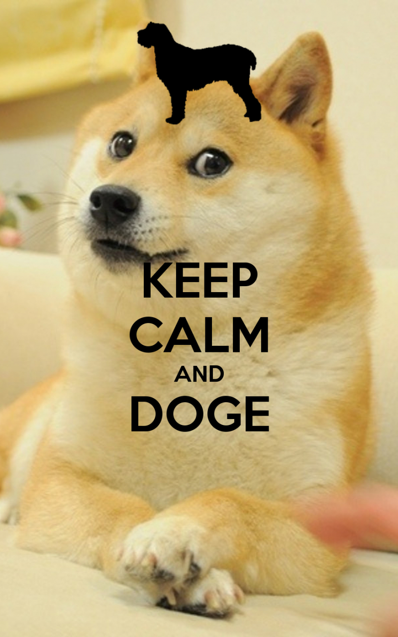 800x1280 Free download Displaying 11 Image For Doge Meme iPhone 5, Phone