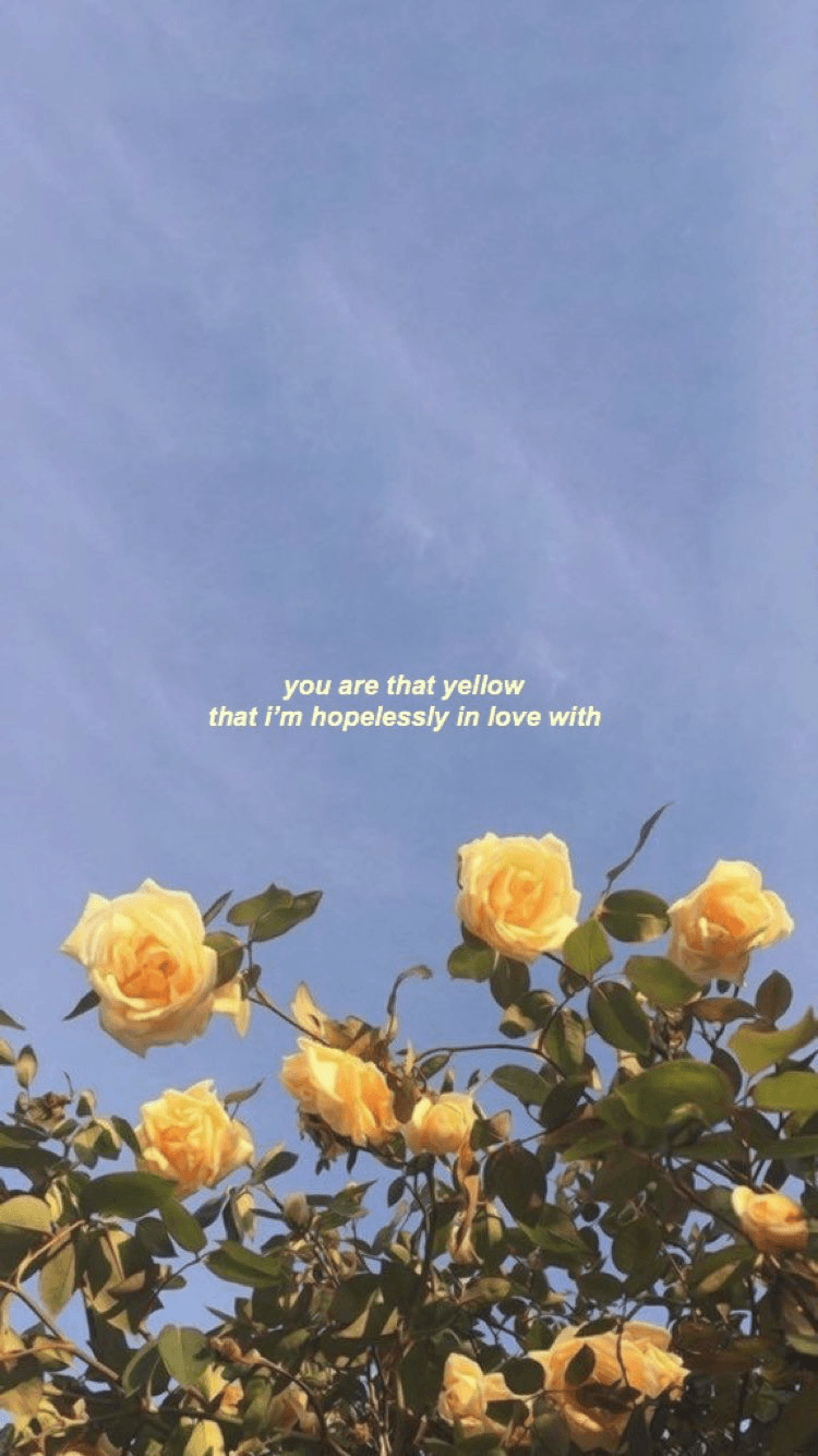 750x1340 crap. yellow. inspiring. love. happy. mood. taken. Aesthetic, Phone