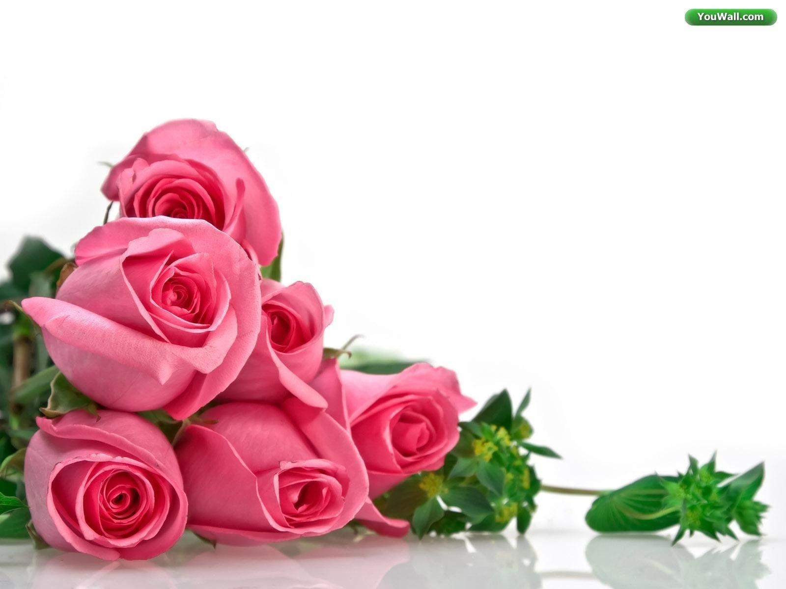 1600x1200 Top Wallpaper: Roses Wallpaper, Desktop