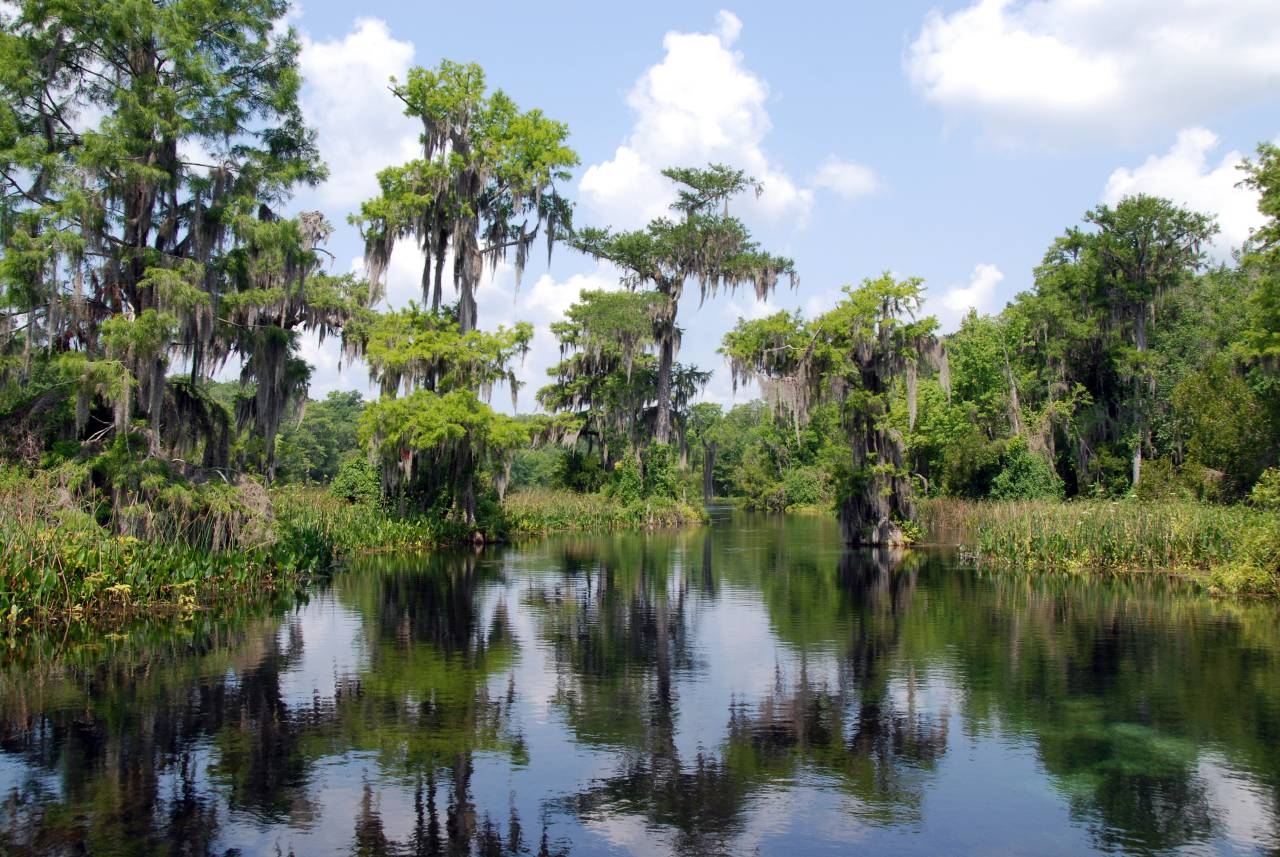 1280x860 Exploring Everglades National Park, Desktop