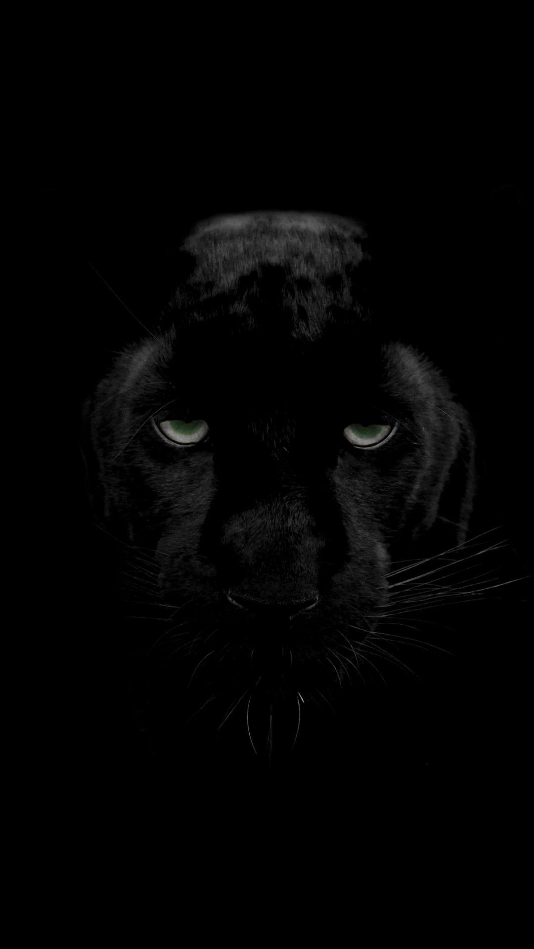 1080x1920 Black Panther Wallpaper 4k iPhoneD Wallpaper. Animal wallpaper, Black panther HD wallpaper, Black wallpaper, Phone