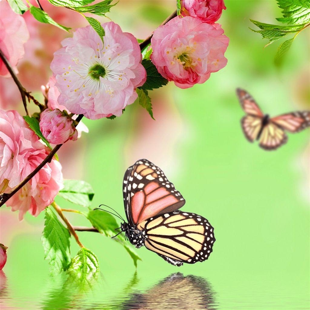 1030x1030 Springtime Joy iPad Air Wallpaper Download. iPhone Wallpaper, Phone