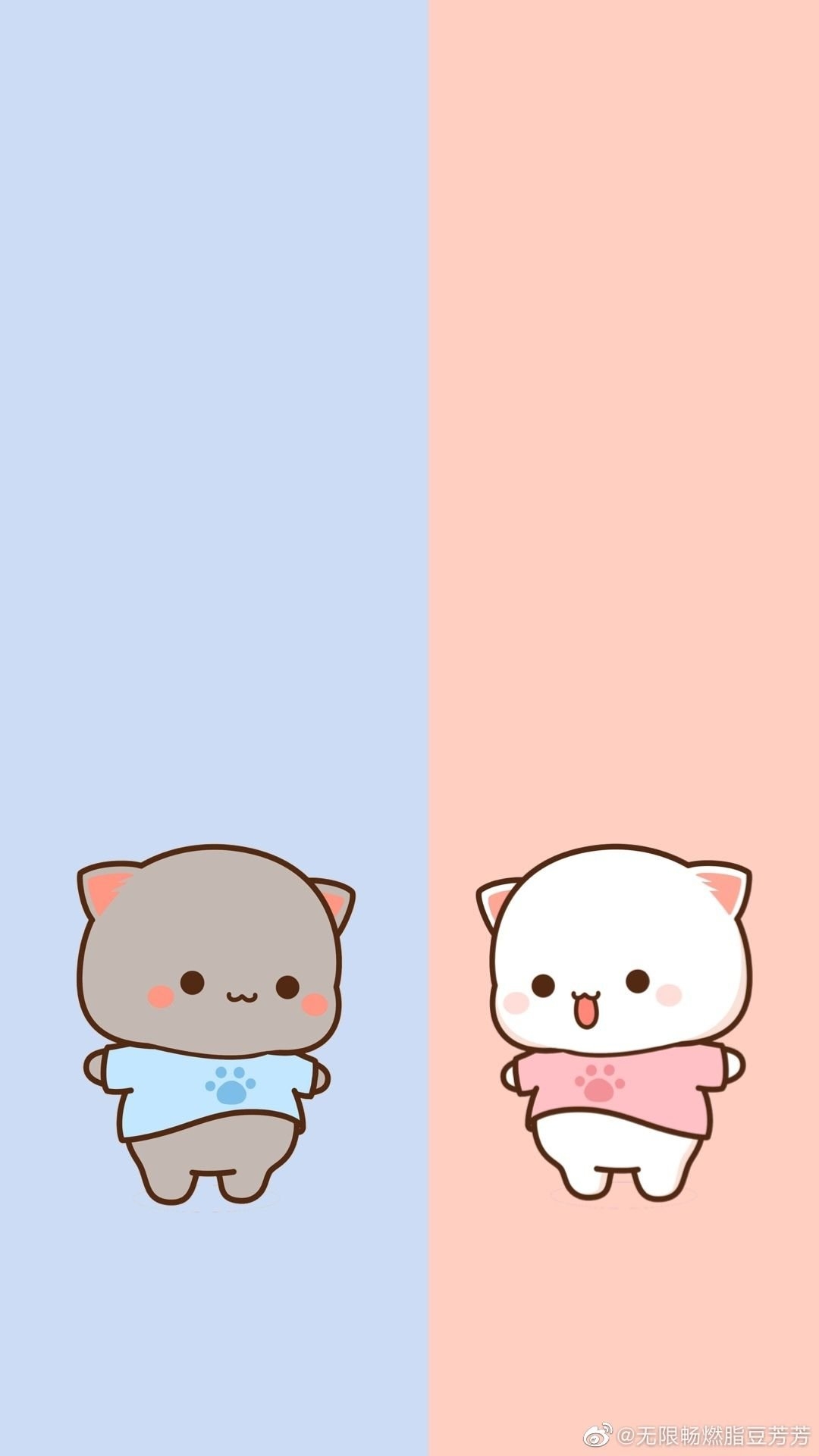 1080x1920 Mochi cat Wallpaper Download, Phone