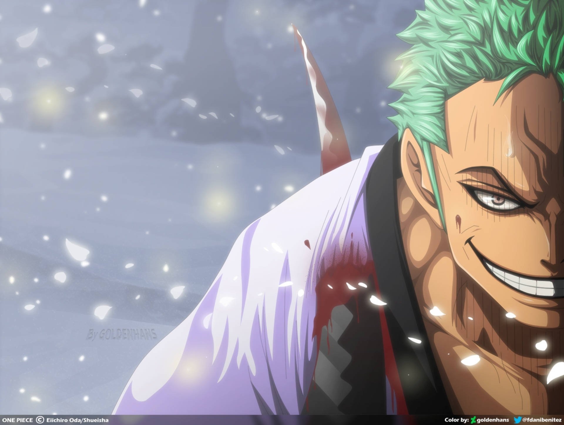 1920x1450 Download Roronoa Zoro Stabbed Wallpaper, Desktop