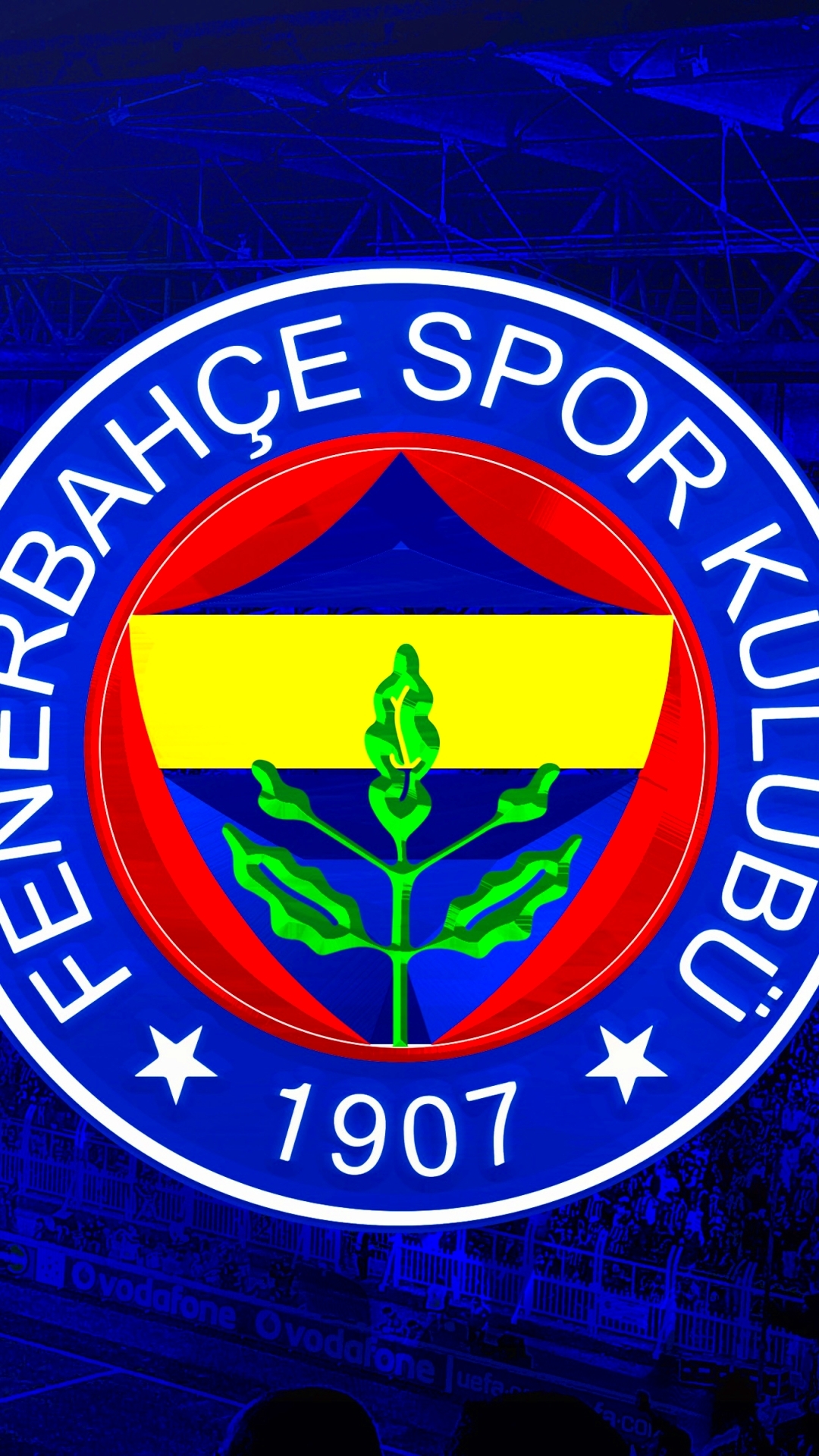 1080x1920 Fenerbahçe S.K. Phone Wallpaper, Phone