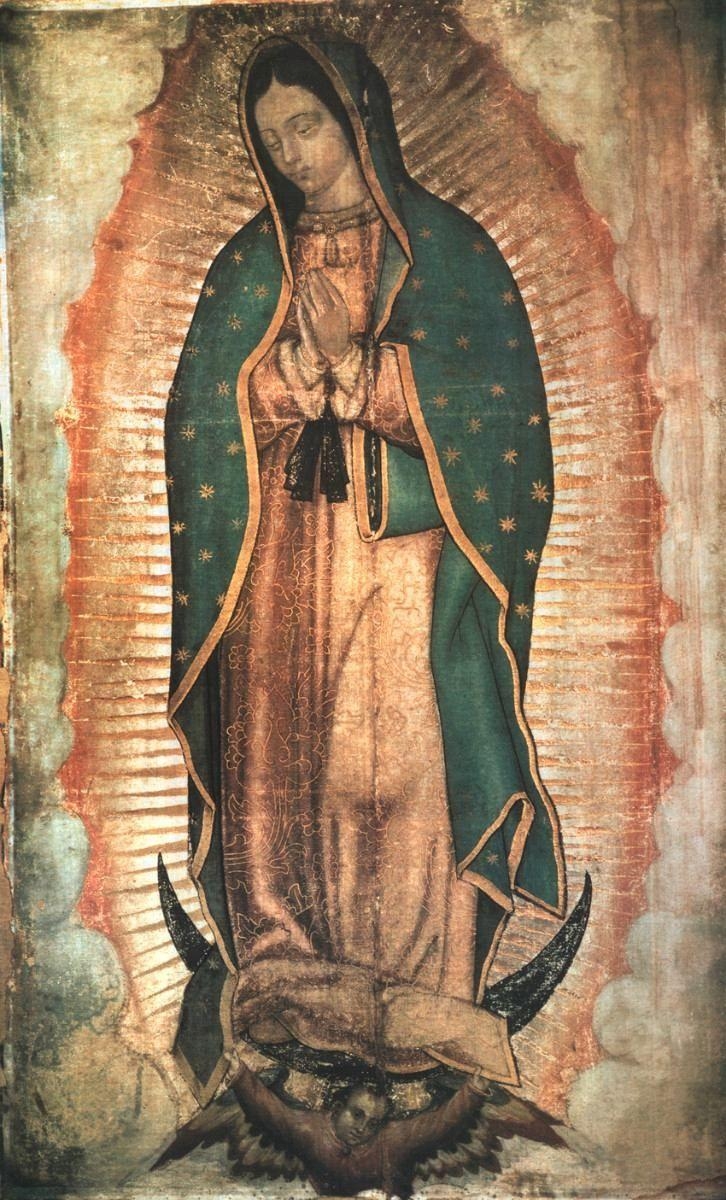 730x1200 best GUADALUPE image. Mother mary, Saints, Phone