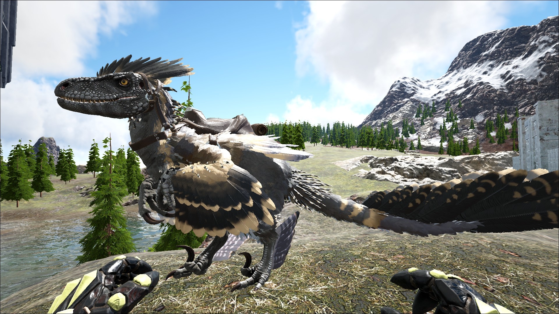 1920x1080 This is my Deinonychus! There are many like him, but this one is mine! Really loved how the mutations turned out. Black and gold, man that looks good, Desktop