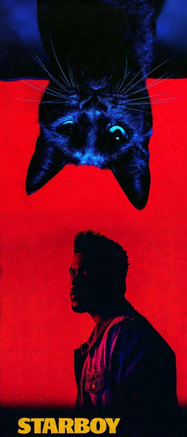 640x1500 STARBOY Jr. & Abel. The weeknd, Abel the weeknd, The weeknd wallpaper iphone, Phone